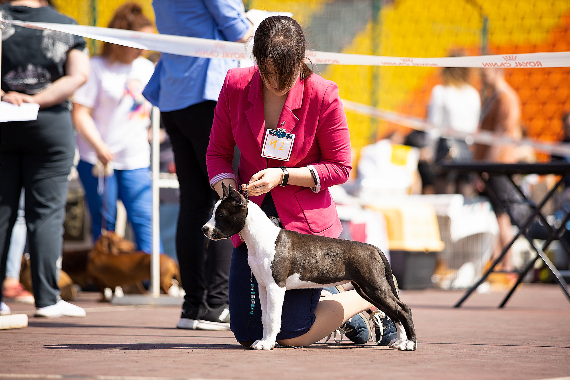 Выставочный репортаж. Фотограф. Фотограф-анималист. Москва