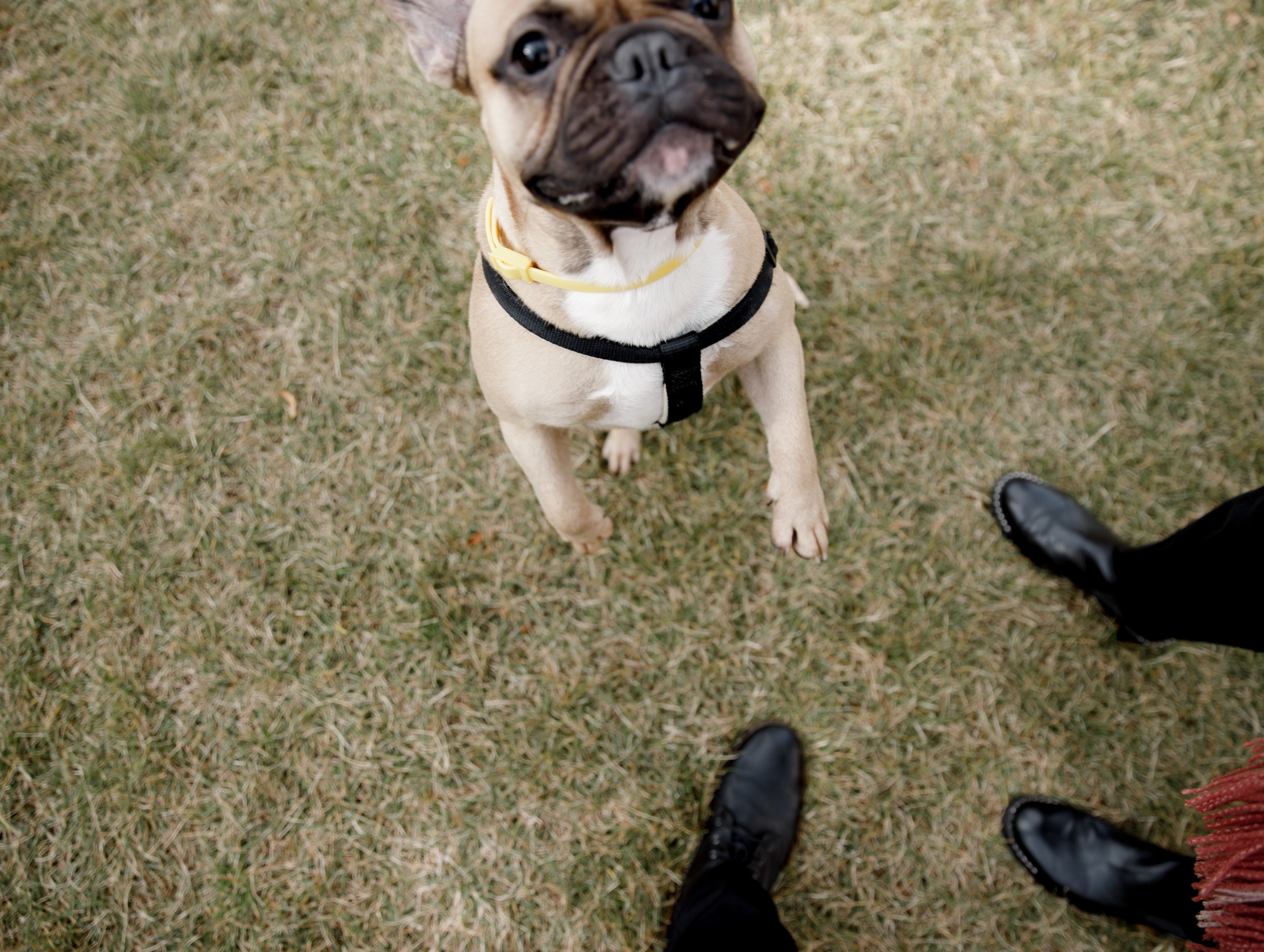 Ilya & Maria — Moscow (Russia). Richard and Irene - Destination wedding photographer