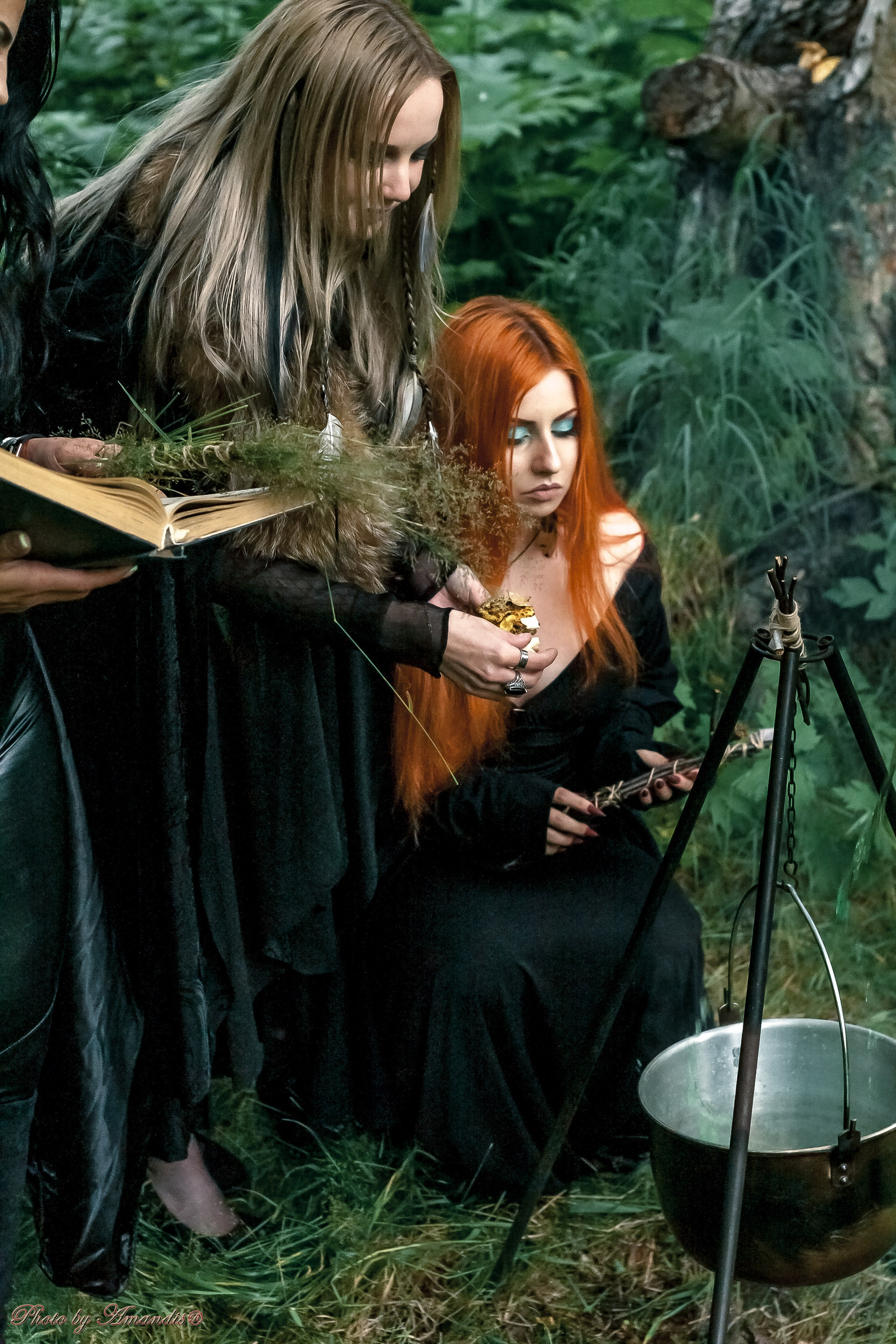 The witches. Репортажная съемка в Москве и области. Анималистика