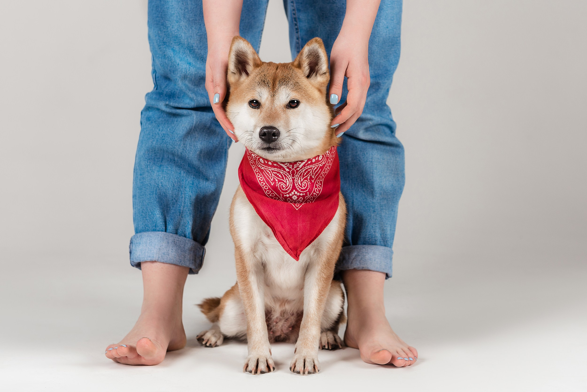 Оля и Бартра. Семейный Фотограф в Москве Ирина Хохлова
