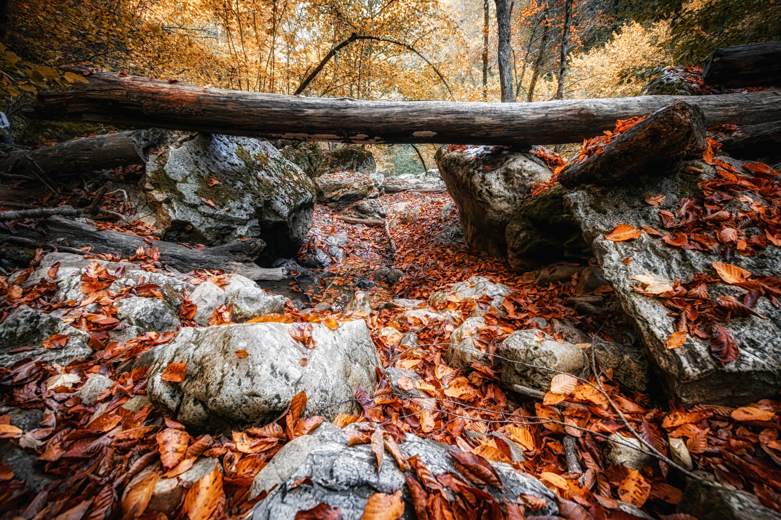 Марк Шишкин — репортажный фотограф в Воронеже и России