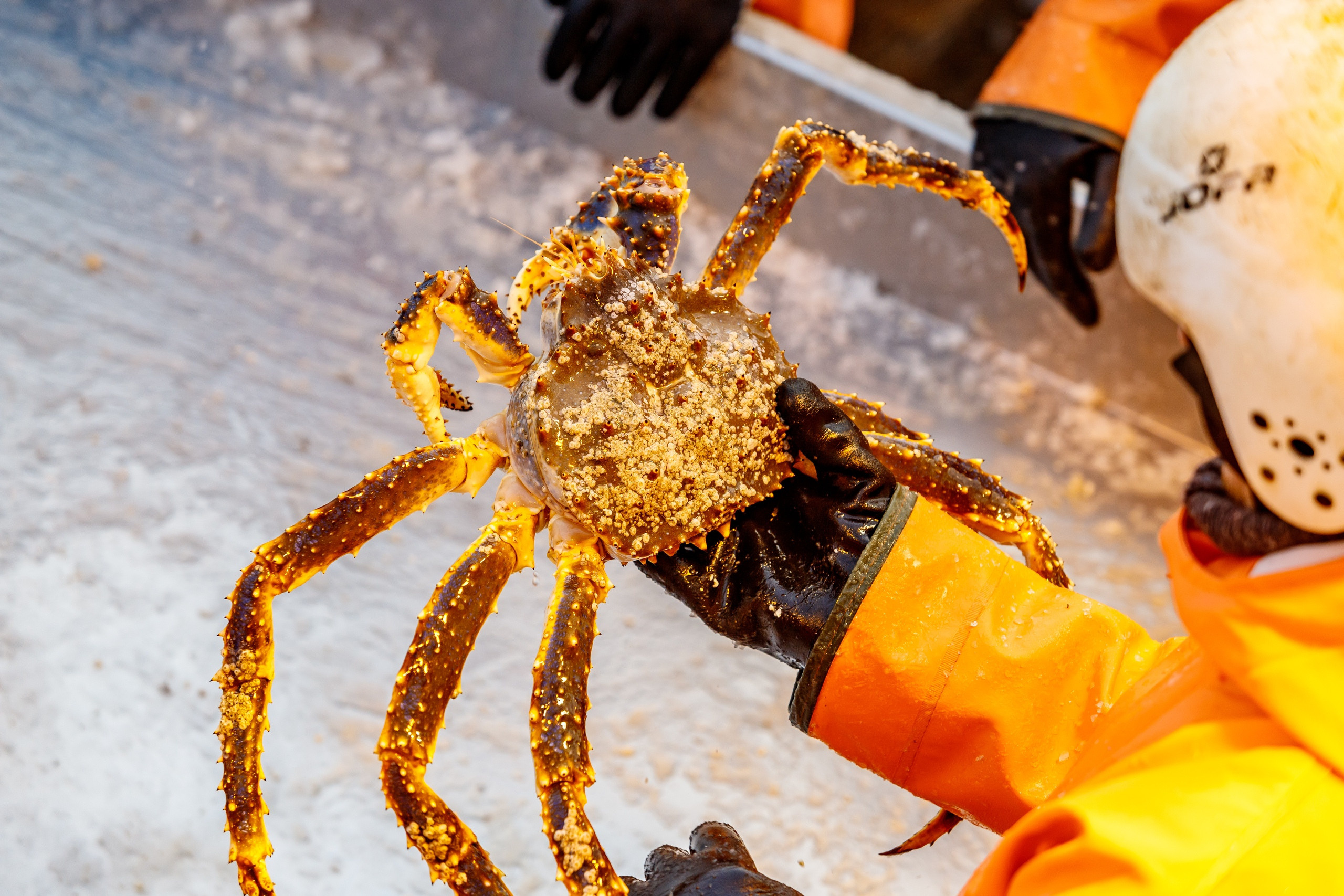 Репортажная съемка в Воронеже. Марк Шишкин — репортажный фотограф в Воронеже и России