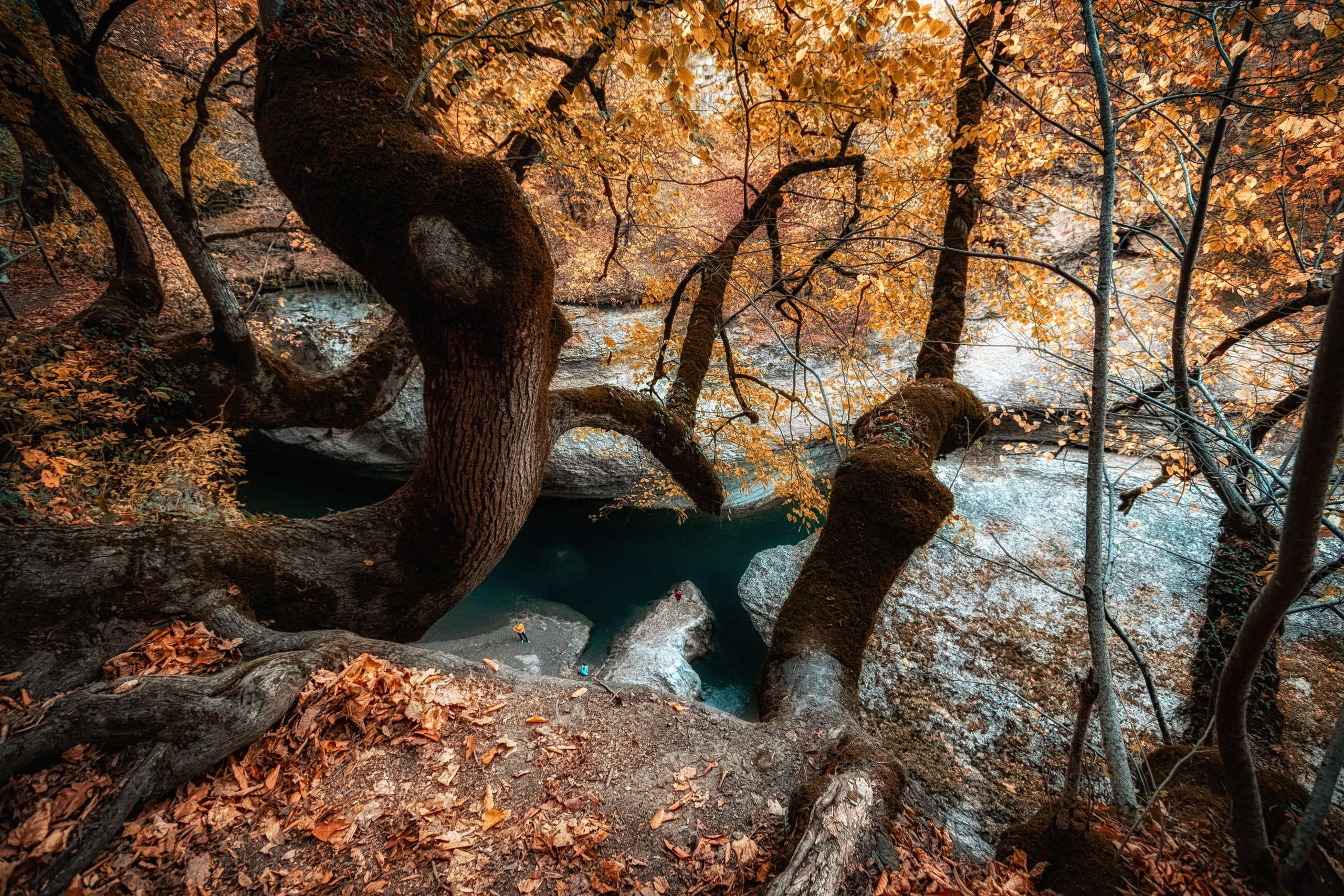 Марк Шишкин — репортажный фотограф в Воронеже и России