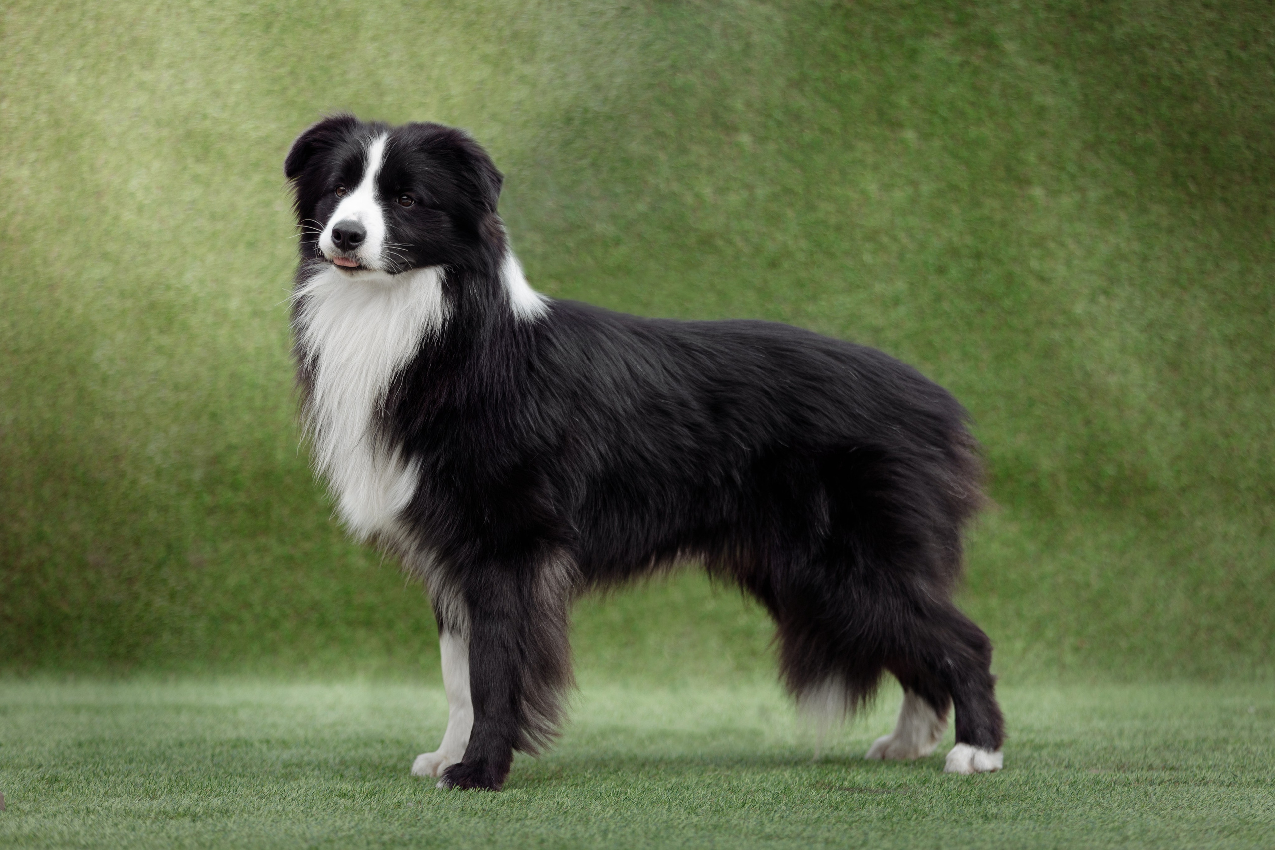 Свое место. О нас