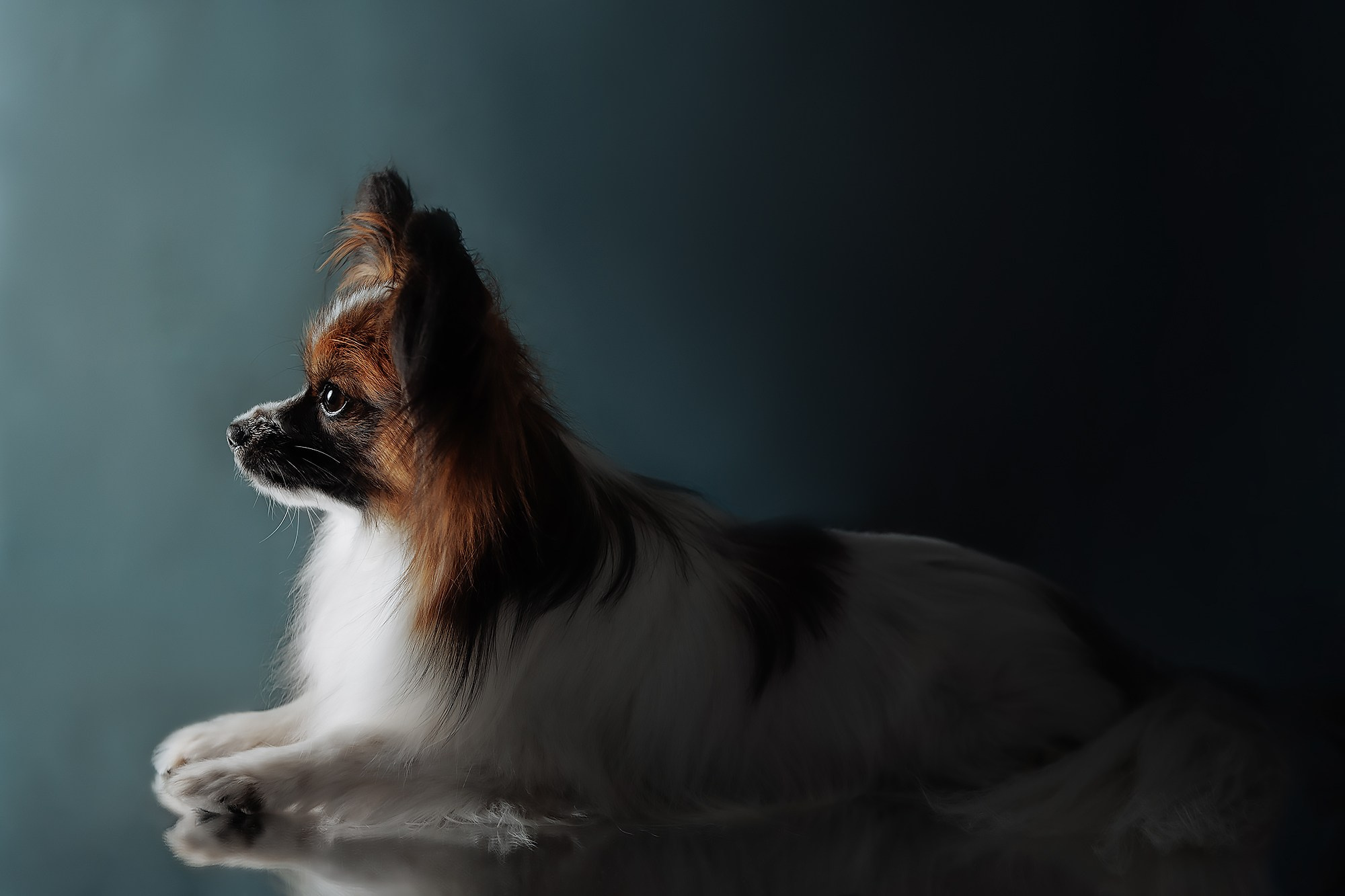 Синева. О нас