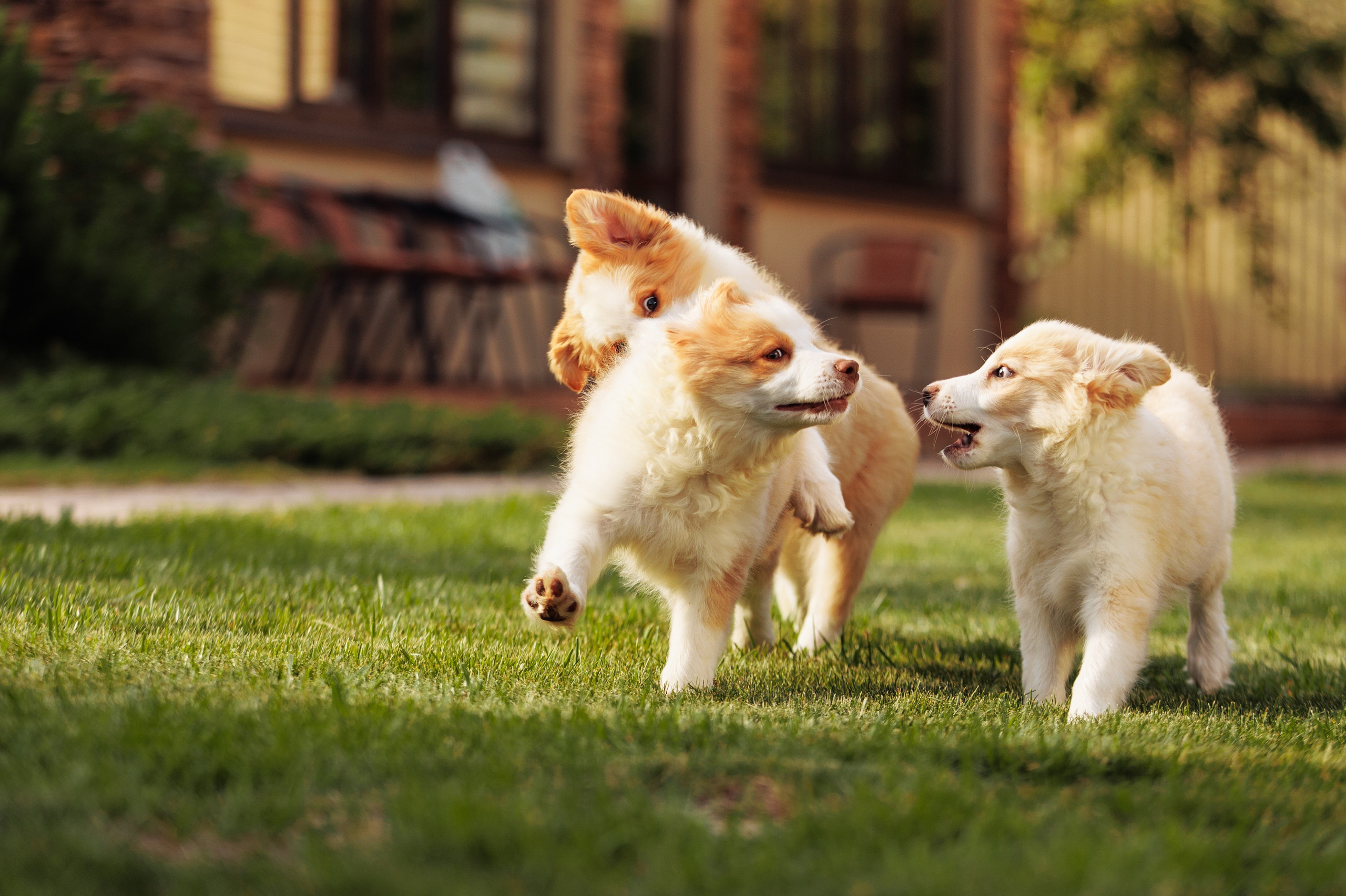 СОлнечные. О нас