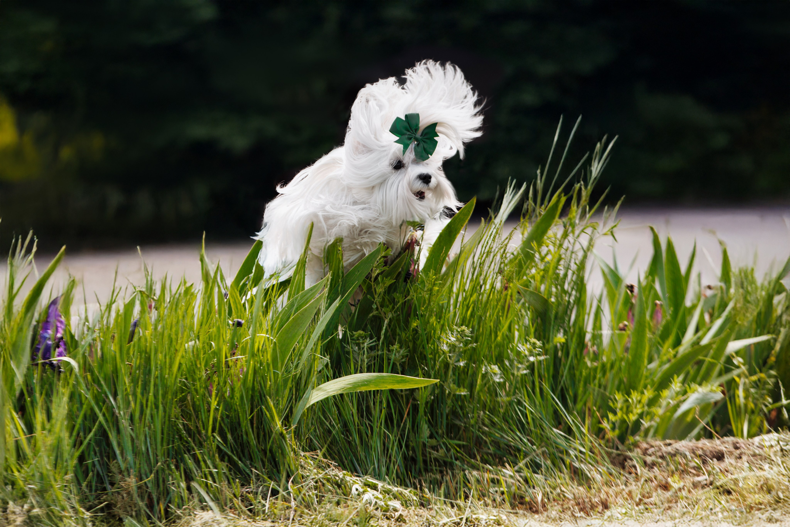 Такой разношерстный Орск 25. О нас