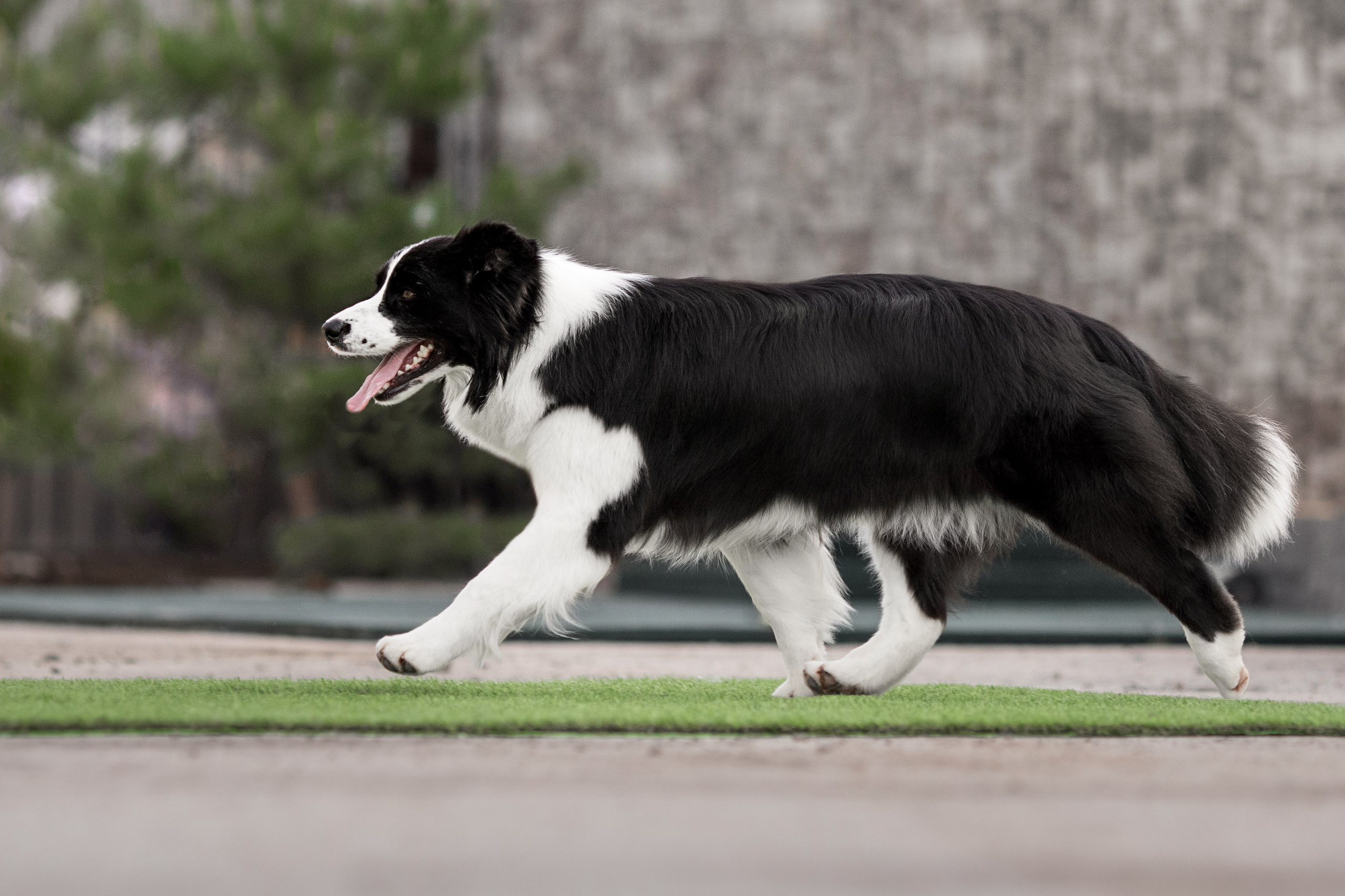 Роскошь в ростошах. О нас