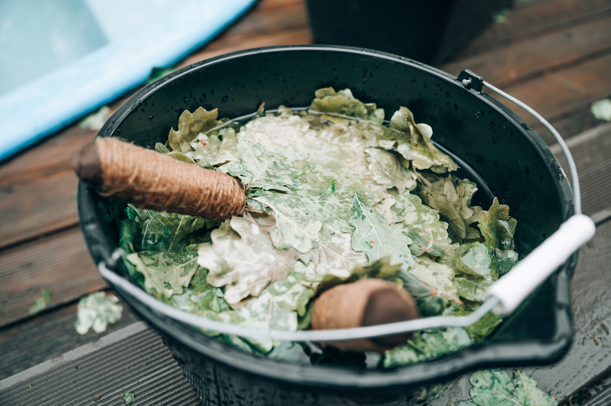 Чемпионат России по банному парению