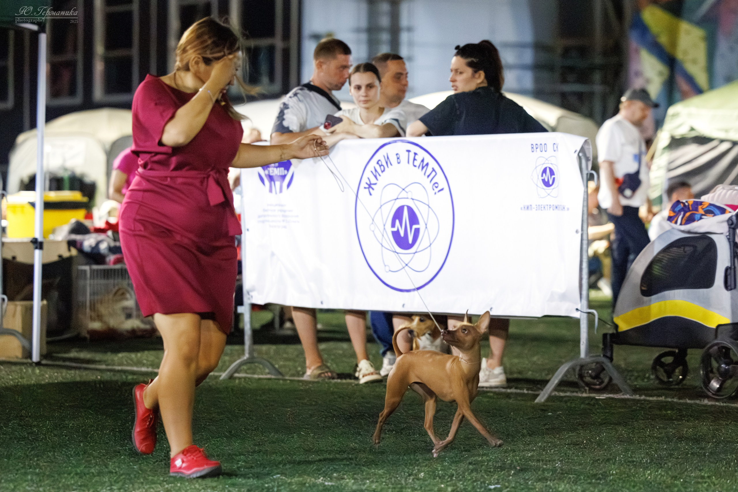 Калининград 25-27.07 Волгоград 1-3.08 2025. Фотограф-анималист Юлия Германика