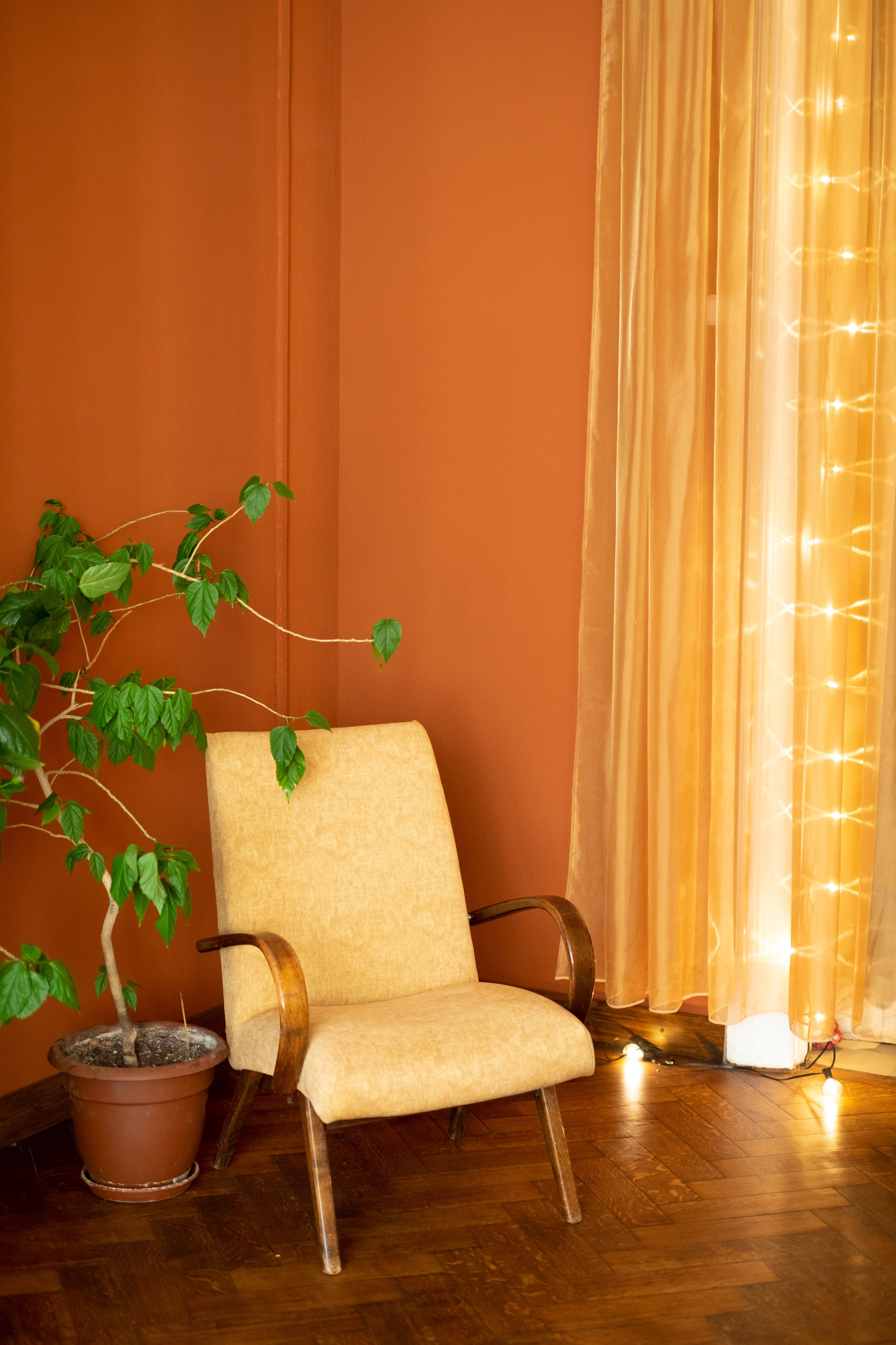 Живая Студия. Фототерапия «Пульс СЧАСТЬЯ»