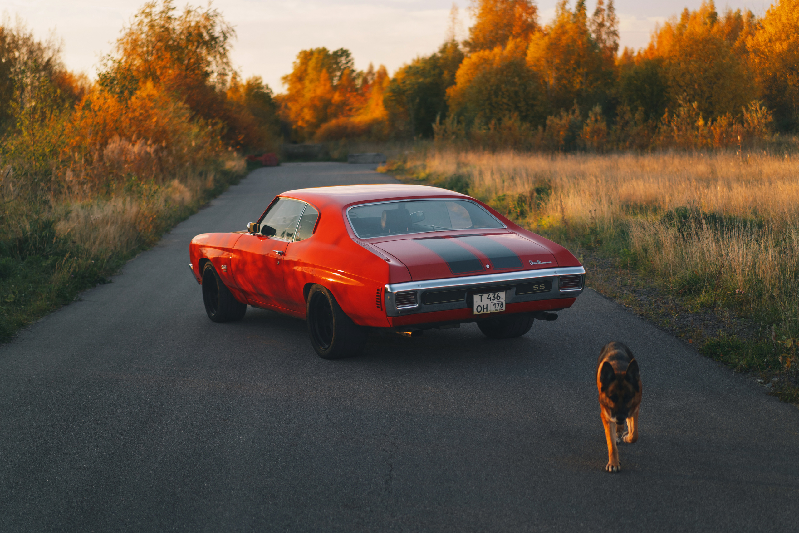 Chevrolet Chevelle SS редкий американский musclecar в Санкт-Петербурге. Автомобильный фотограф Антон Цырулев
