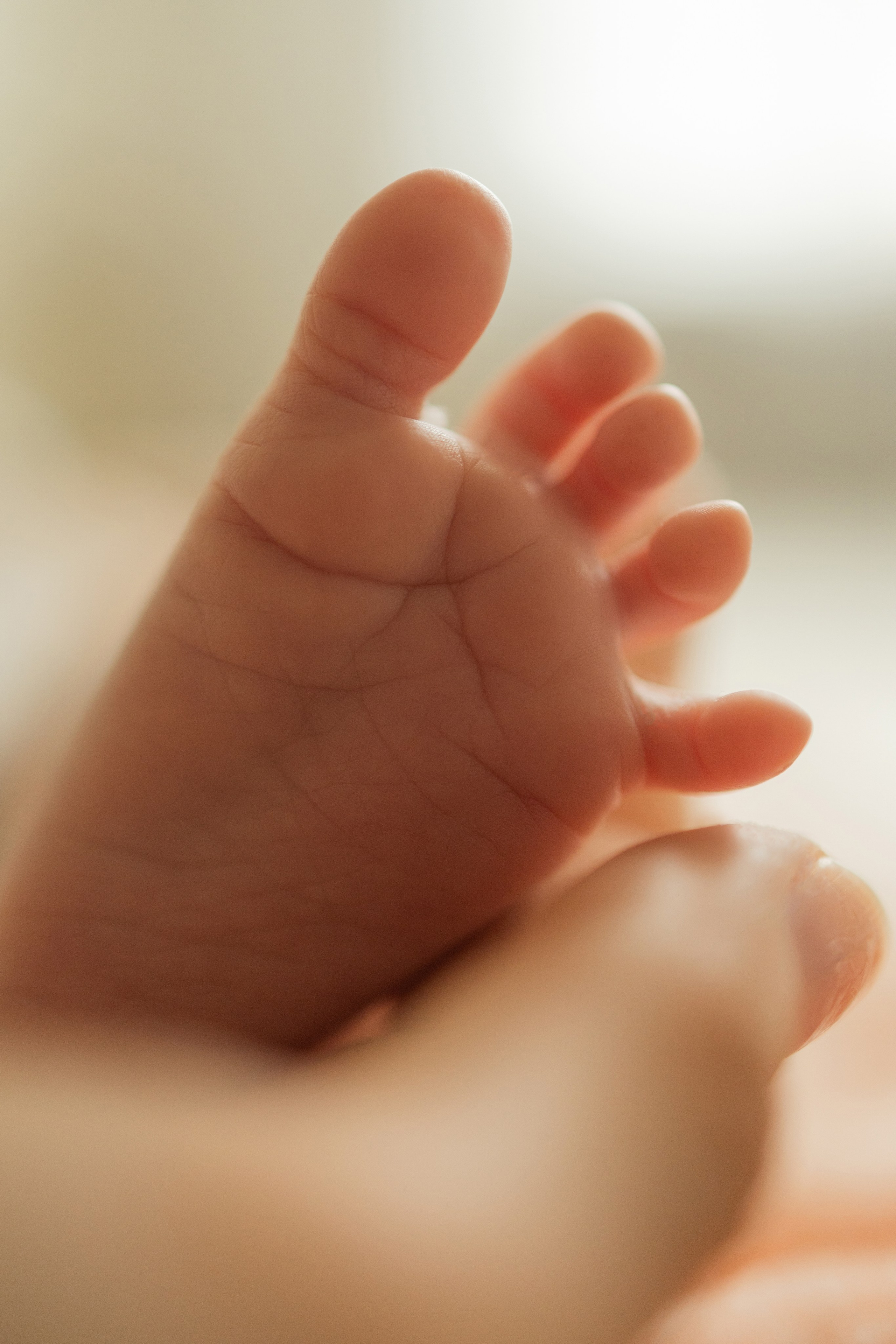 Л ю б о в ь между Вами и посреди Вас. Виноградова Маргарита. Фотограф P r o Явления