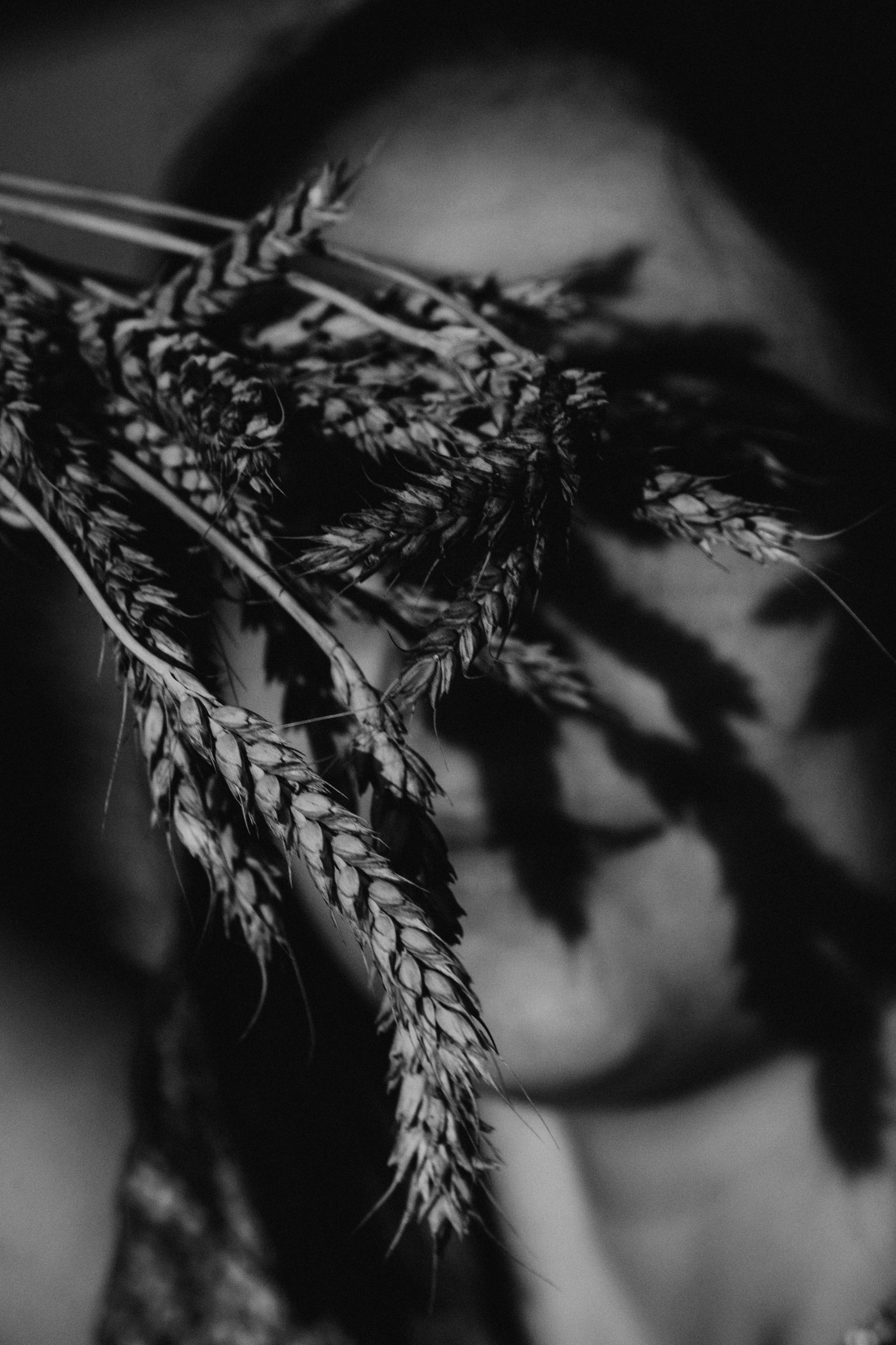 Оля. Семейный lifestyle фотограф в Ростове-на-Дону