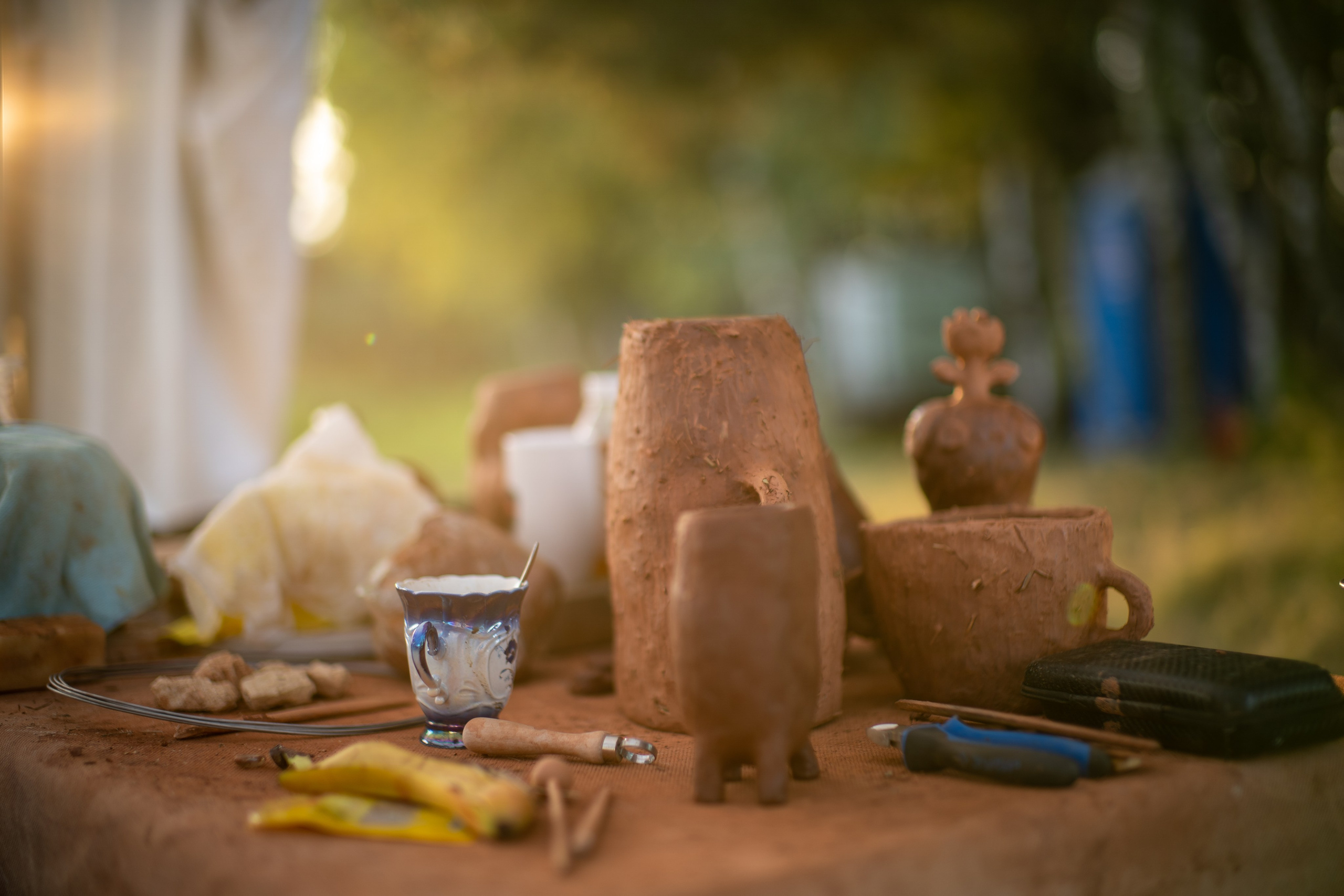 Wild fire 2024 — Дикий огонь 2024