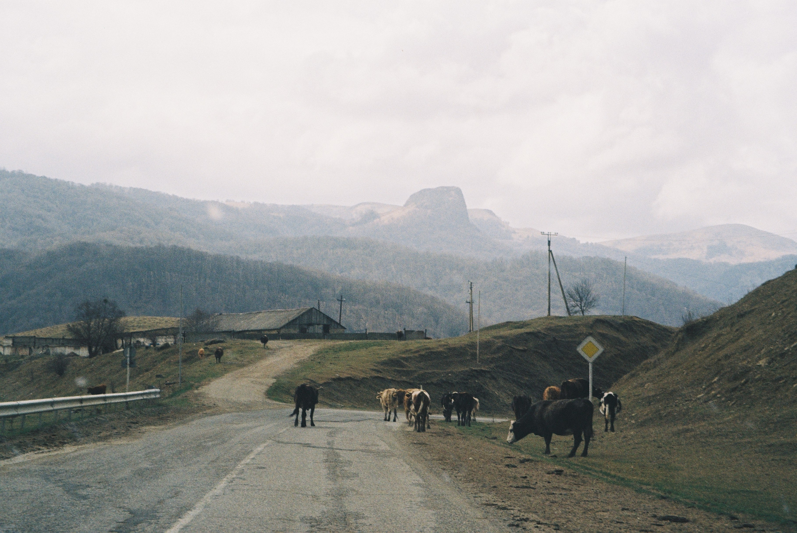 Пленка. Фотограф Ирина Гринько Тольятти Самара Москва