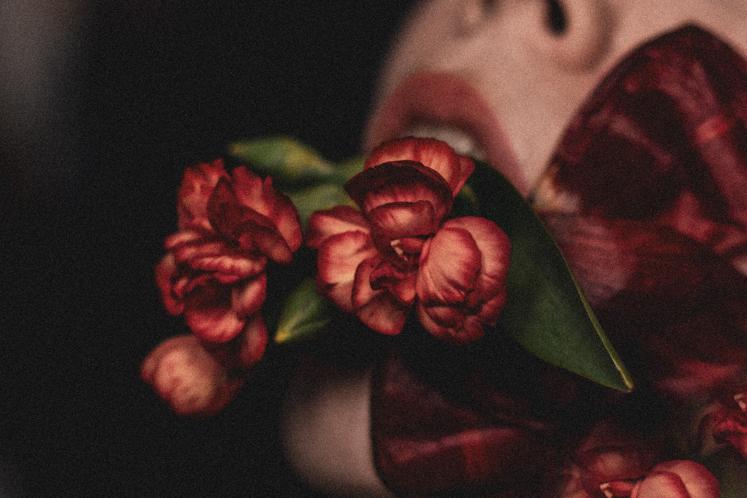 Фотограф Ирина Иванова