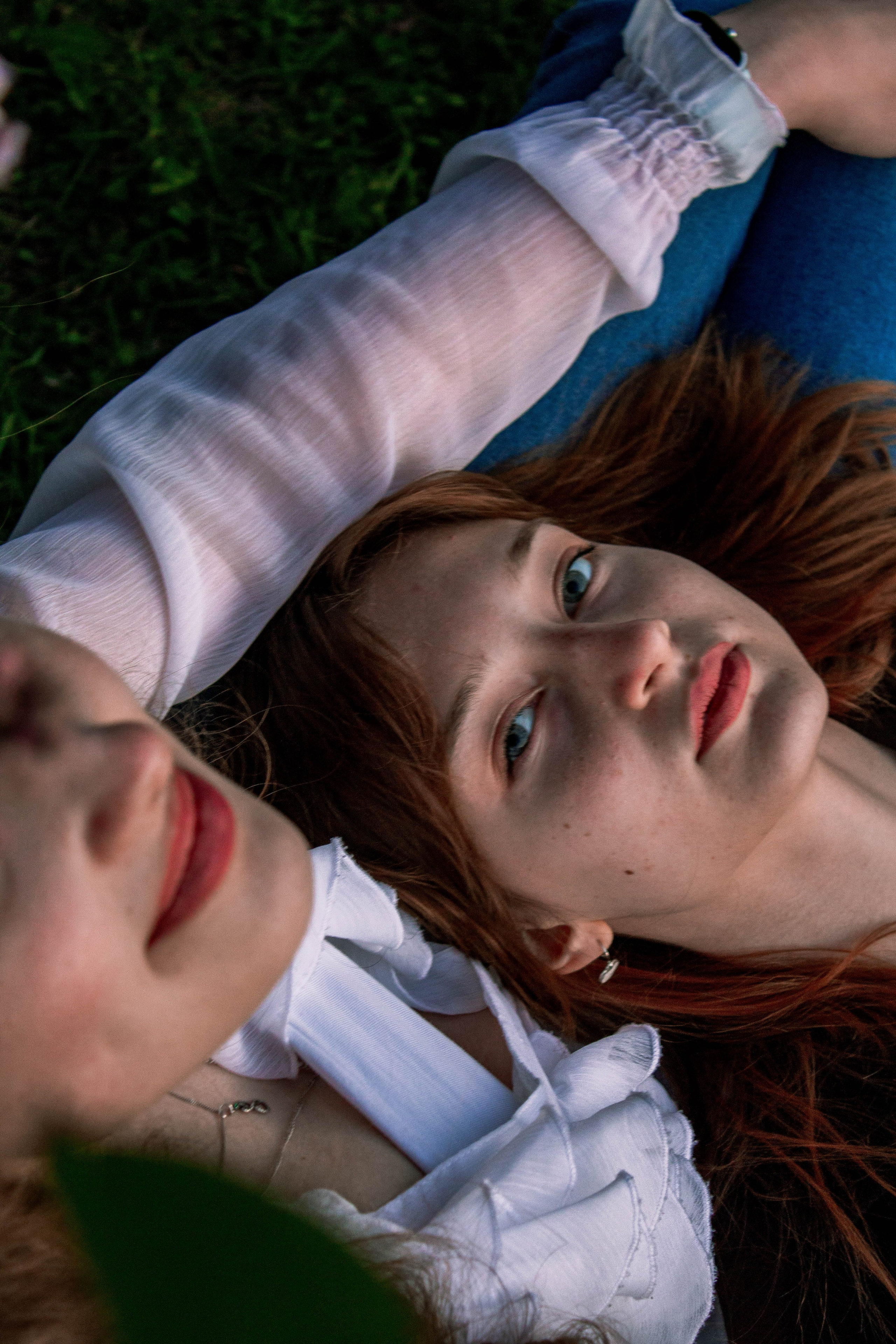 Сирень. Карпогоры, Санкт-Петербург