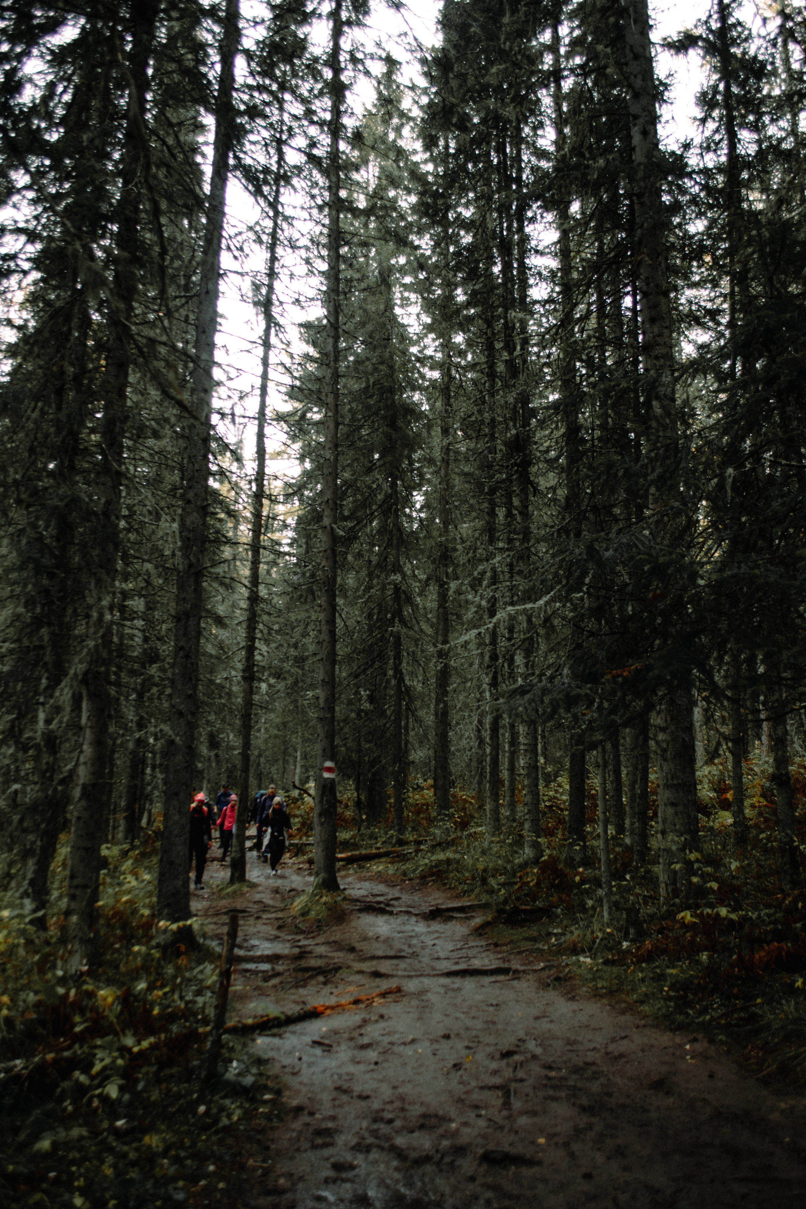 Г. Иремель | выезд с группой. Фотограф Настя | Экспедиции и лайфстайл