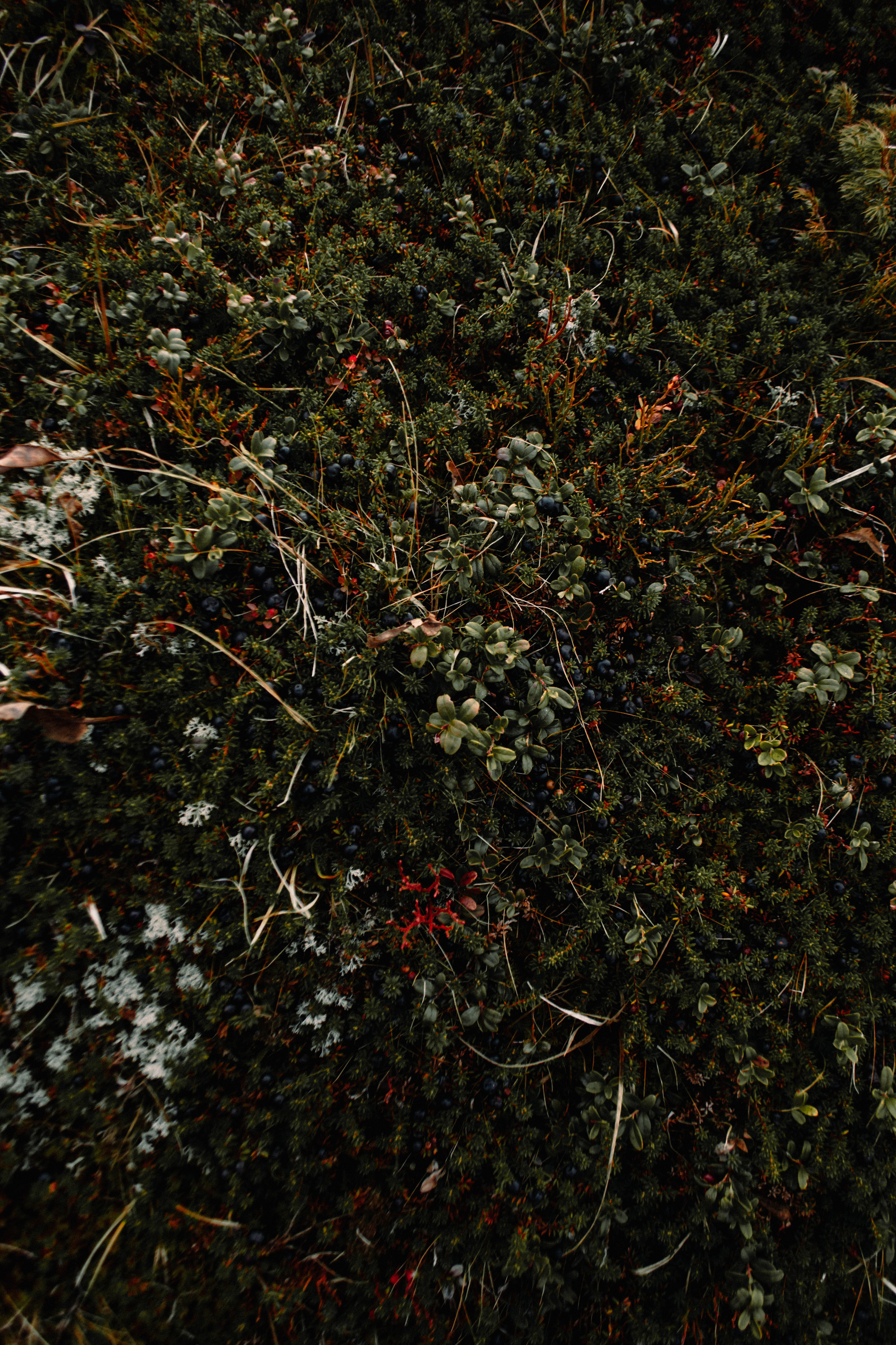 Г. Иремель | выезд с группой. Фотограф Настя | Экспедиции и лайфстайл