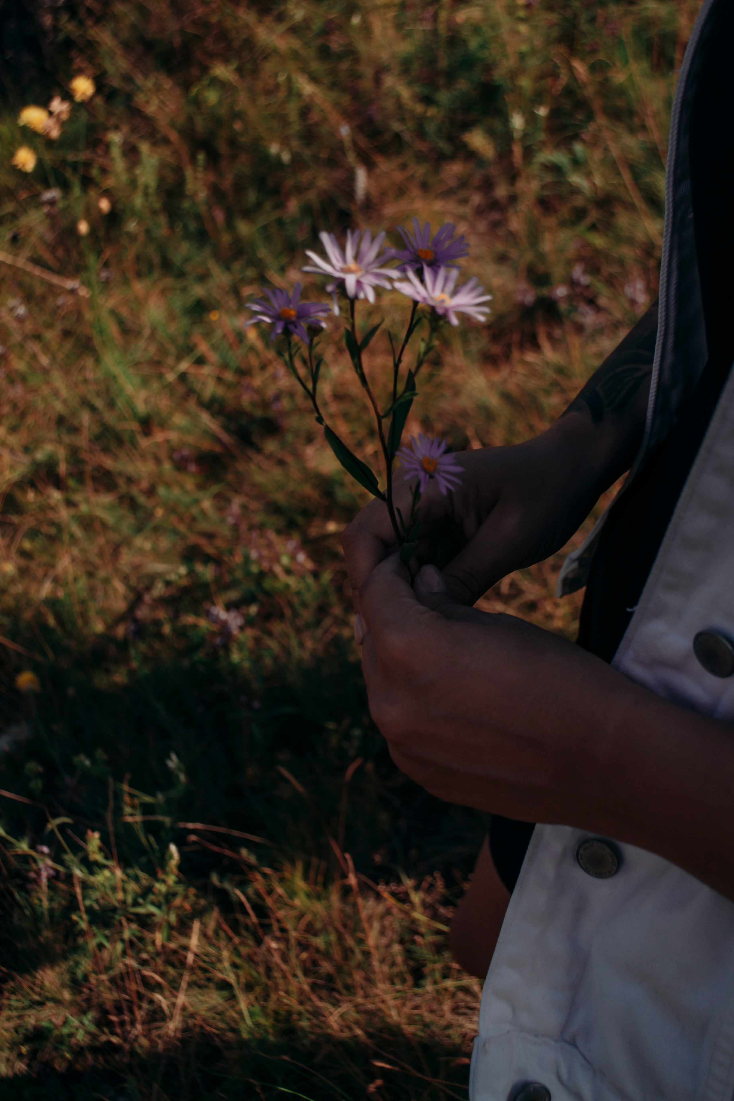 Любовь и горы или горы — это любовь. Фотограф Настя | Экспедиции и лайфстайл