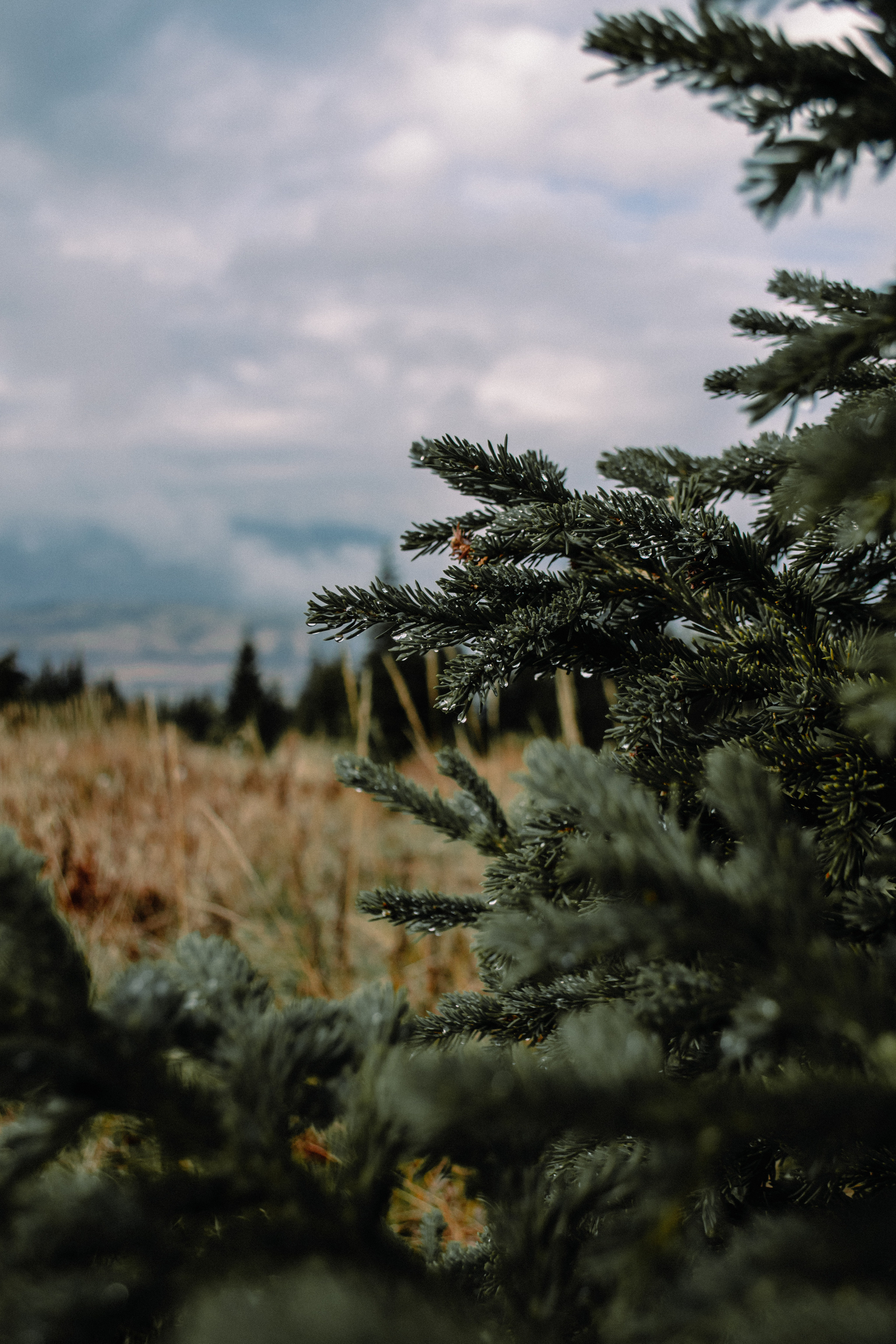 Г. Иремель | выезд с группой. Фотограф Настя | Экспедиции и лайфстайл