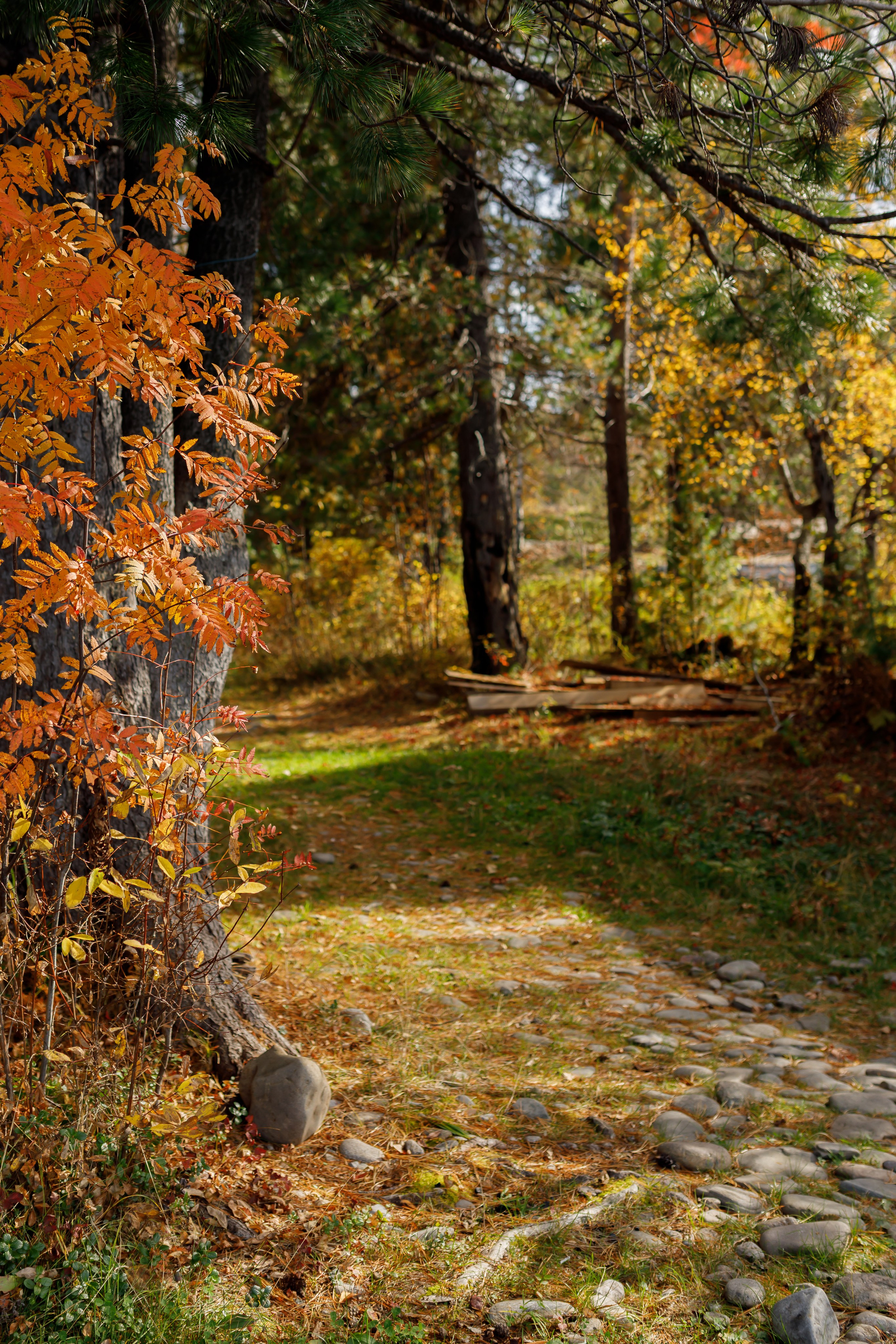Эко — парк «Танхой». Осенняя съемка. Интерьерный, предметный и контент фотограф в Иркутске Наталья Карпова