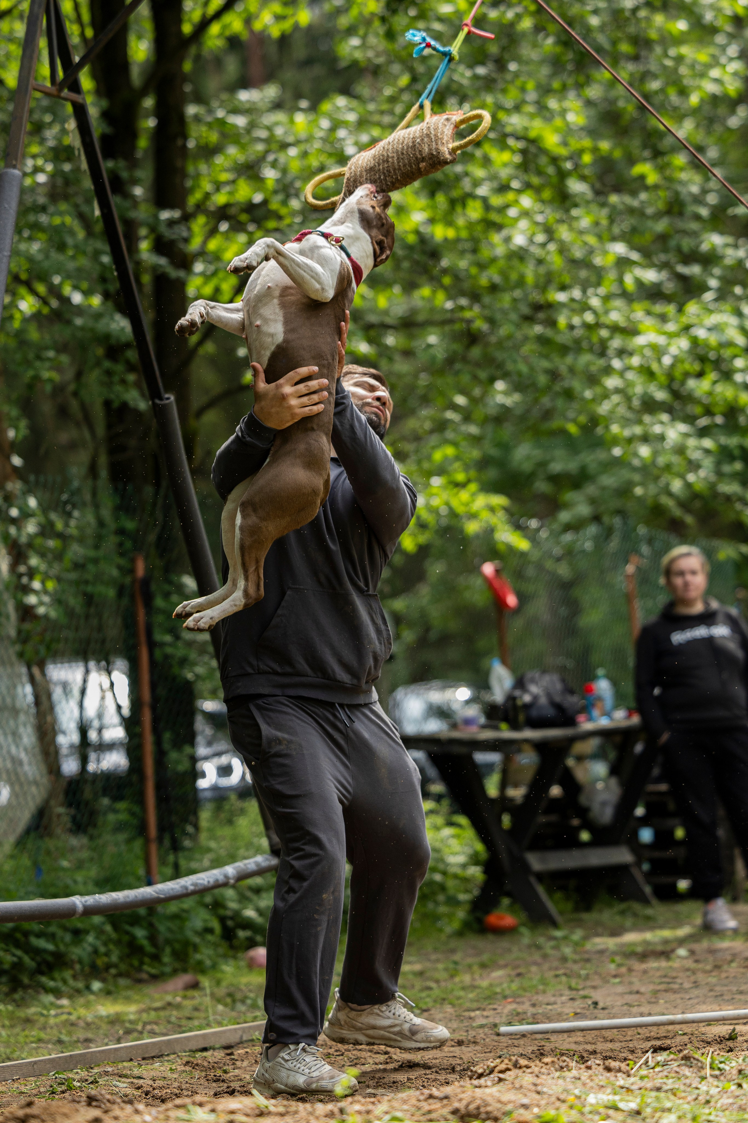 Пит-стафф многоборье. Фотограф-анималист Анна Маринич