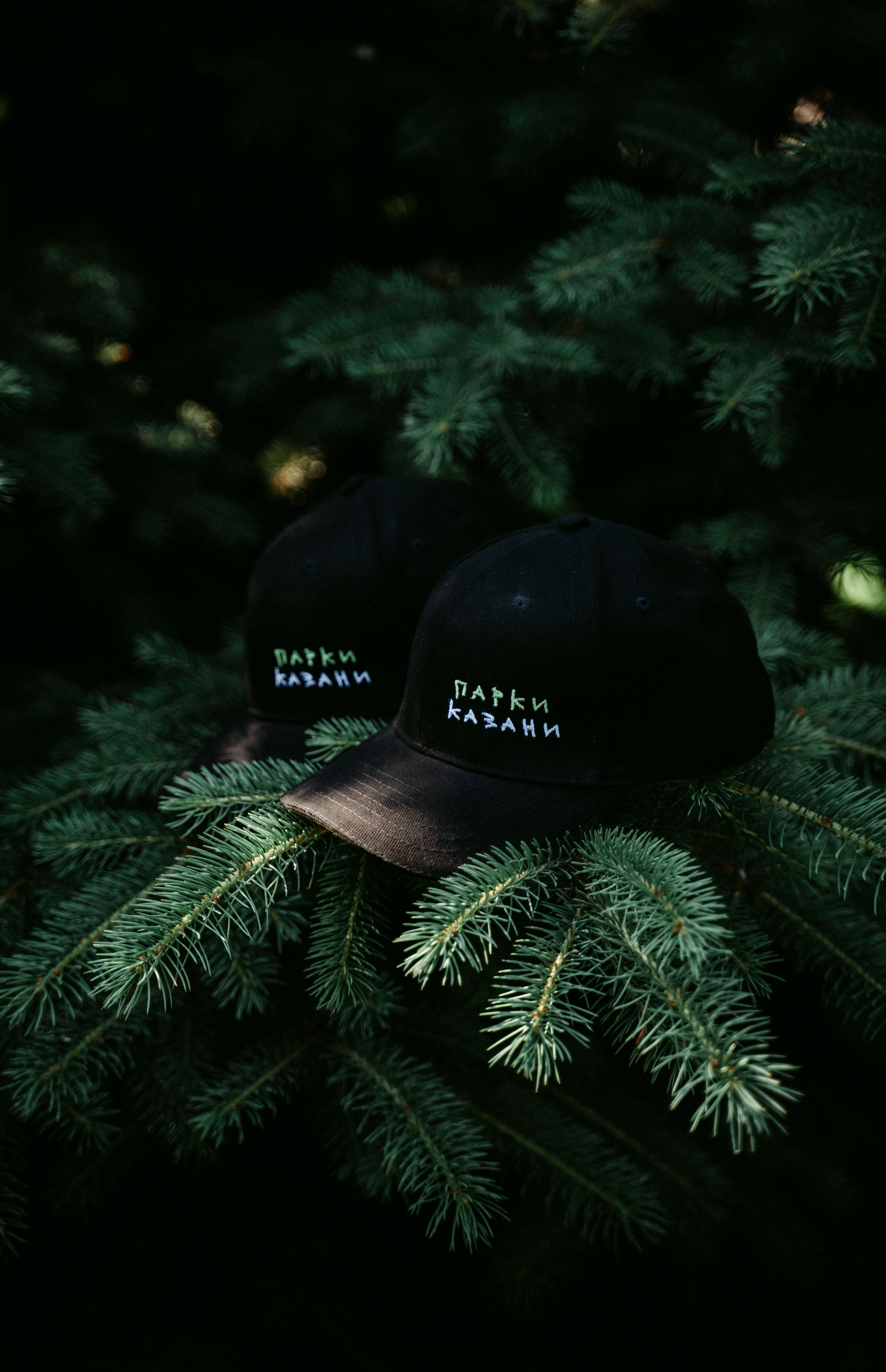 «Парки рядом» / мерч дирекции парков и скверов РТ. Саша Копылов, фотограф в Казани