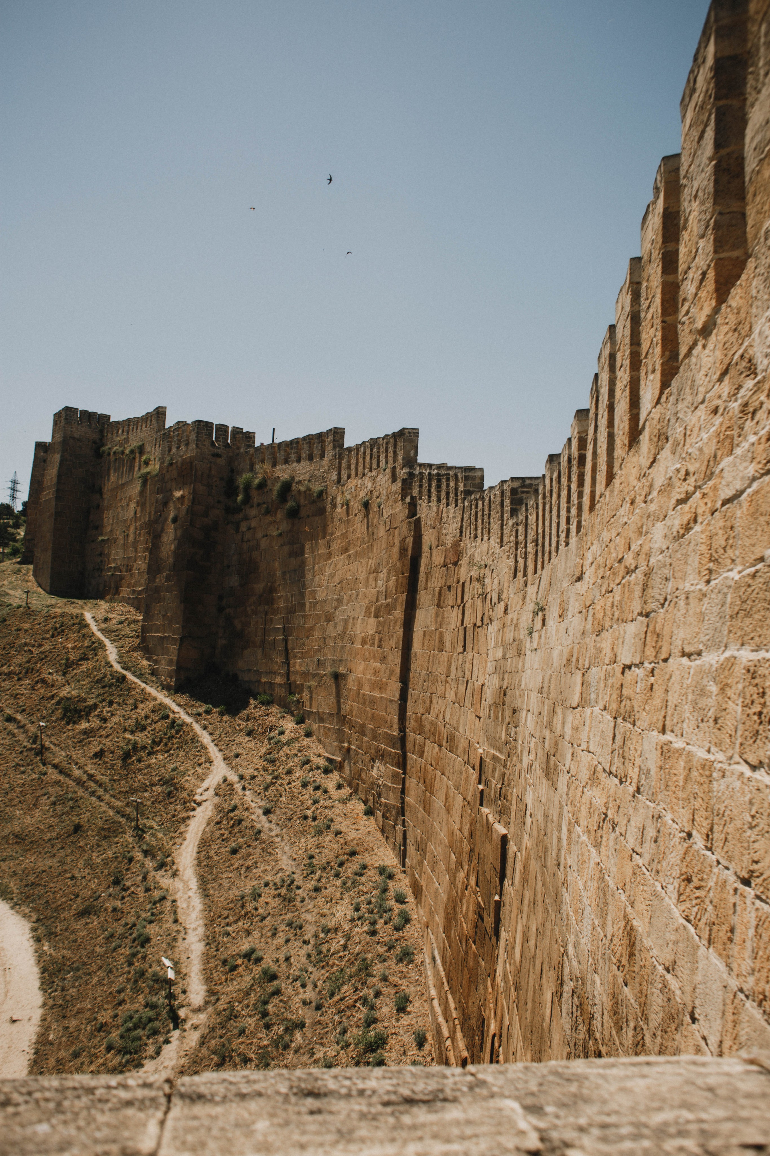 Дагестан. Чечня. 2024. Фотограф в Нижнем Новгороде