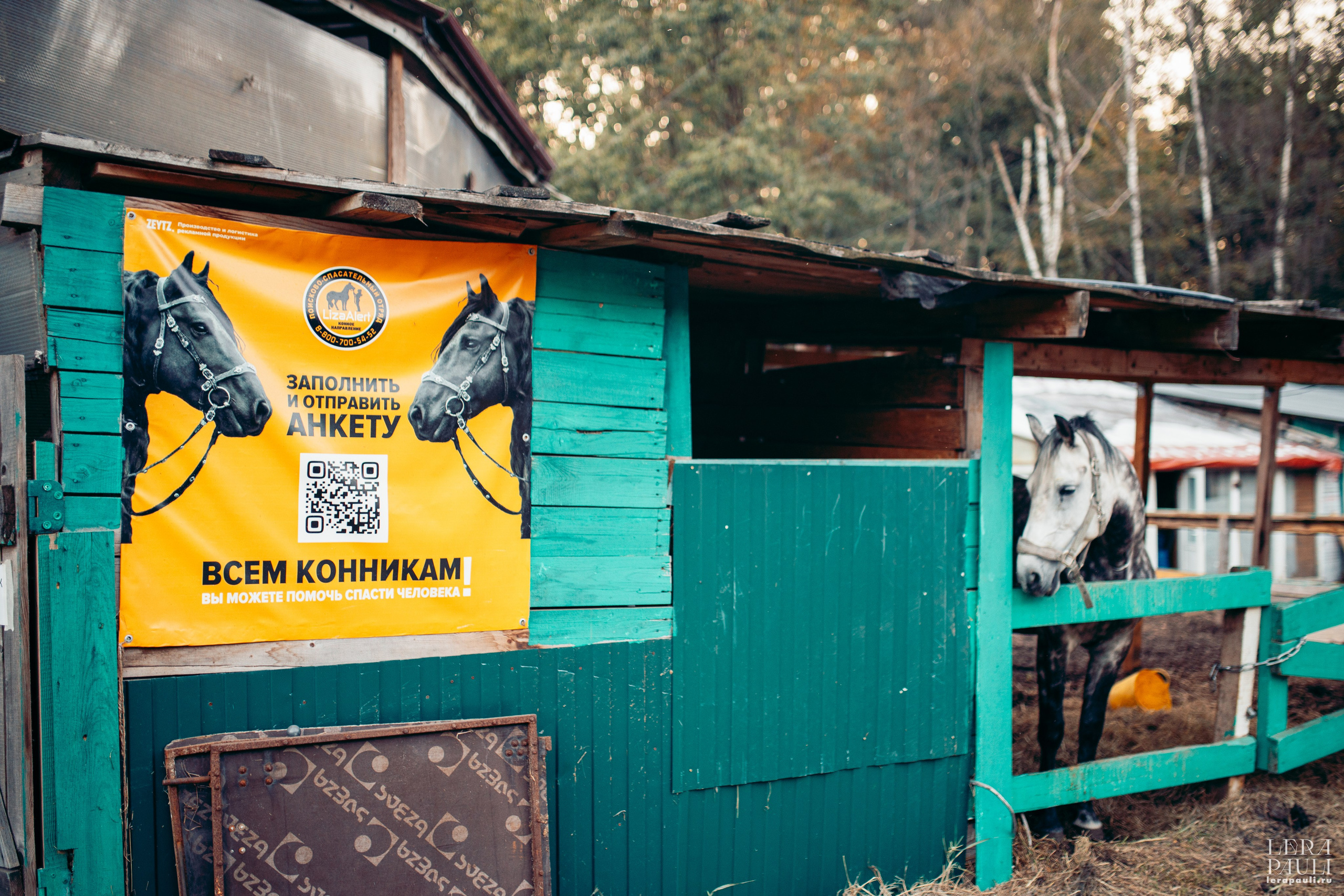 ДПСО «ЛизаАлерт». Главная