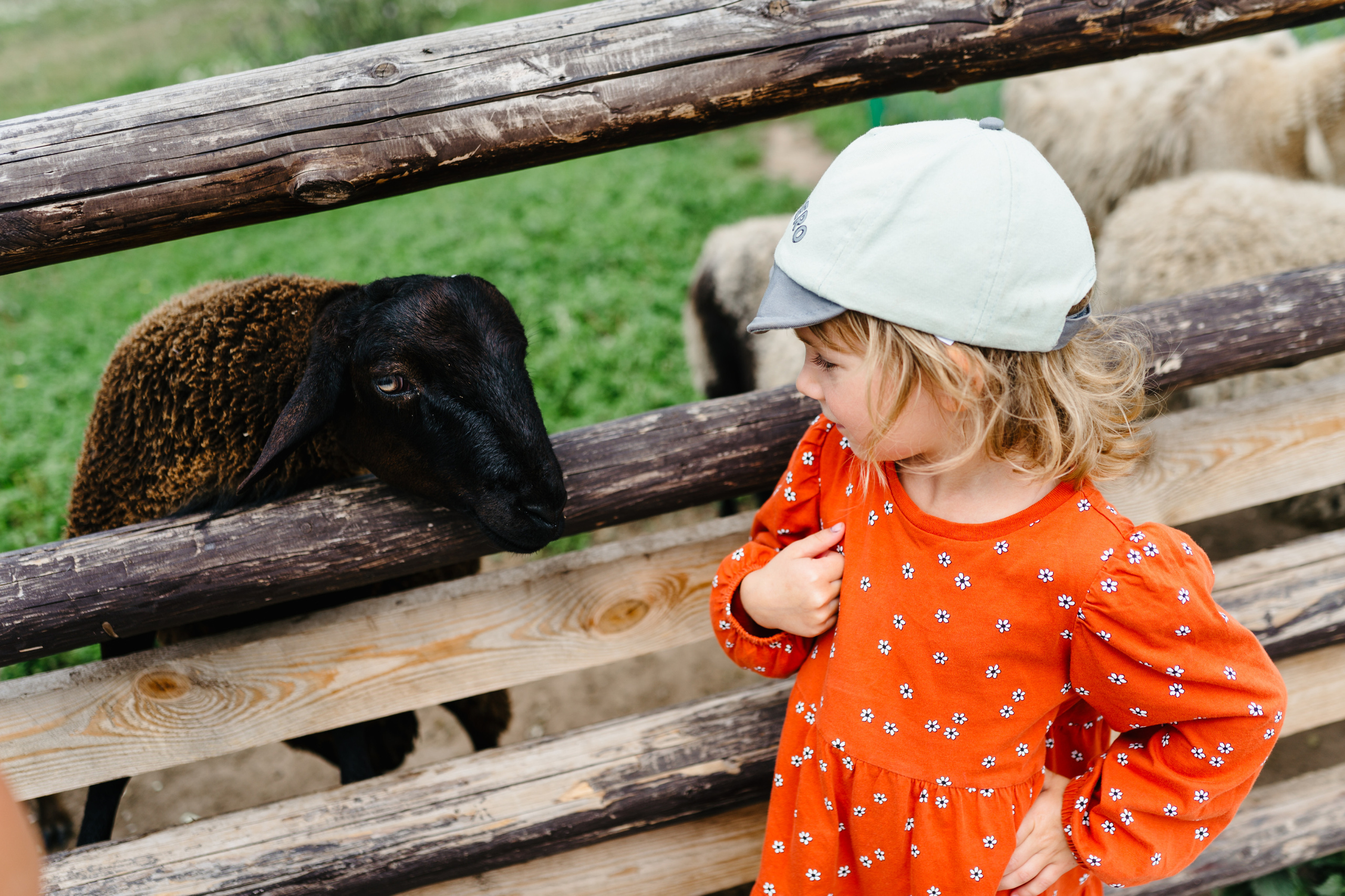 Путешествие: Псков, Изборск, Печоры