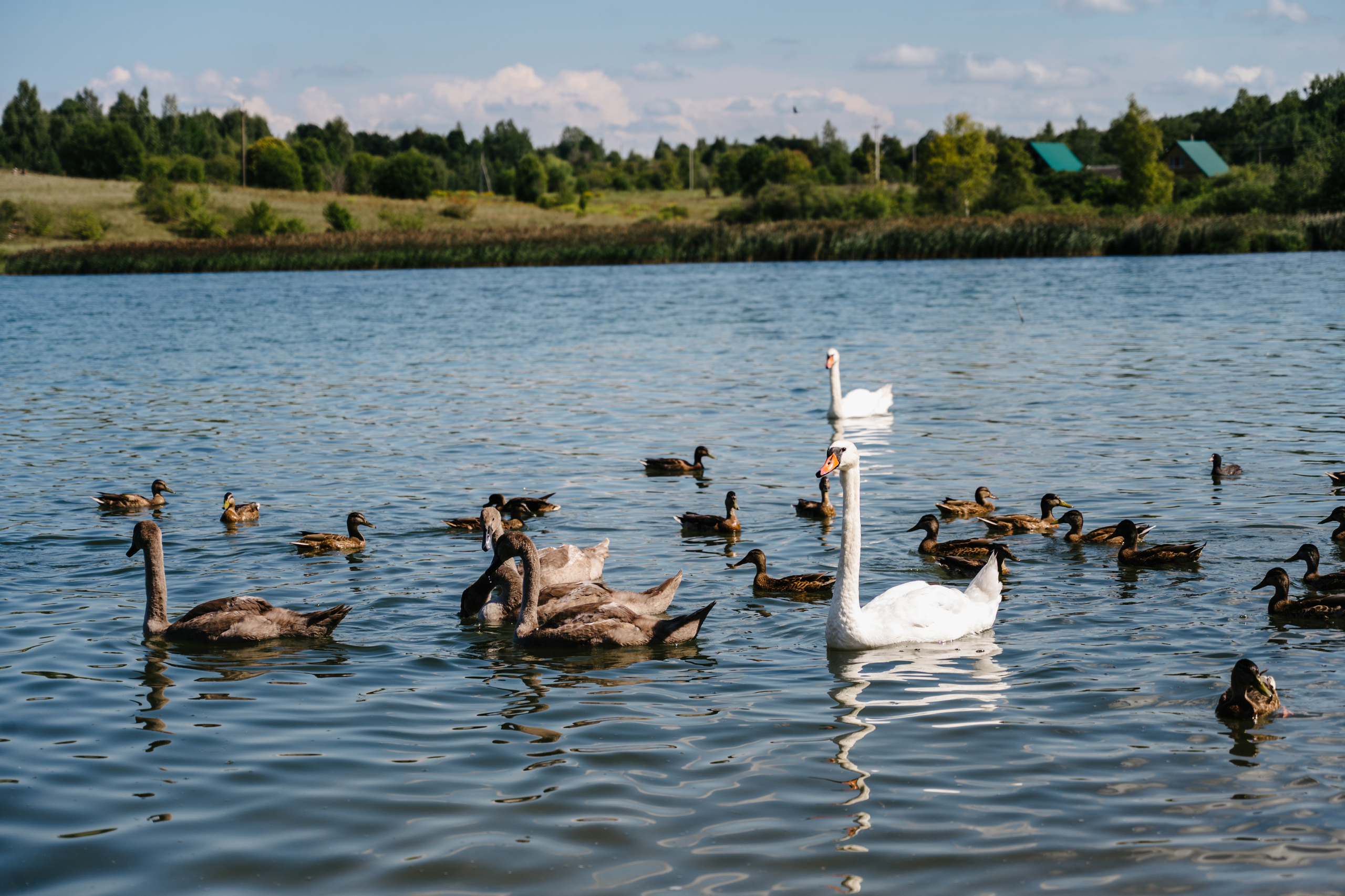 Путешествие: Псков, Изборск, Печоры