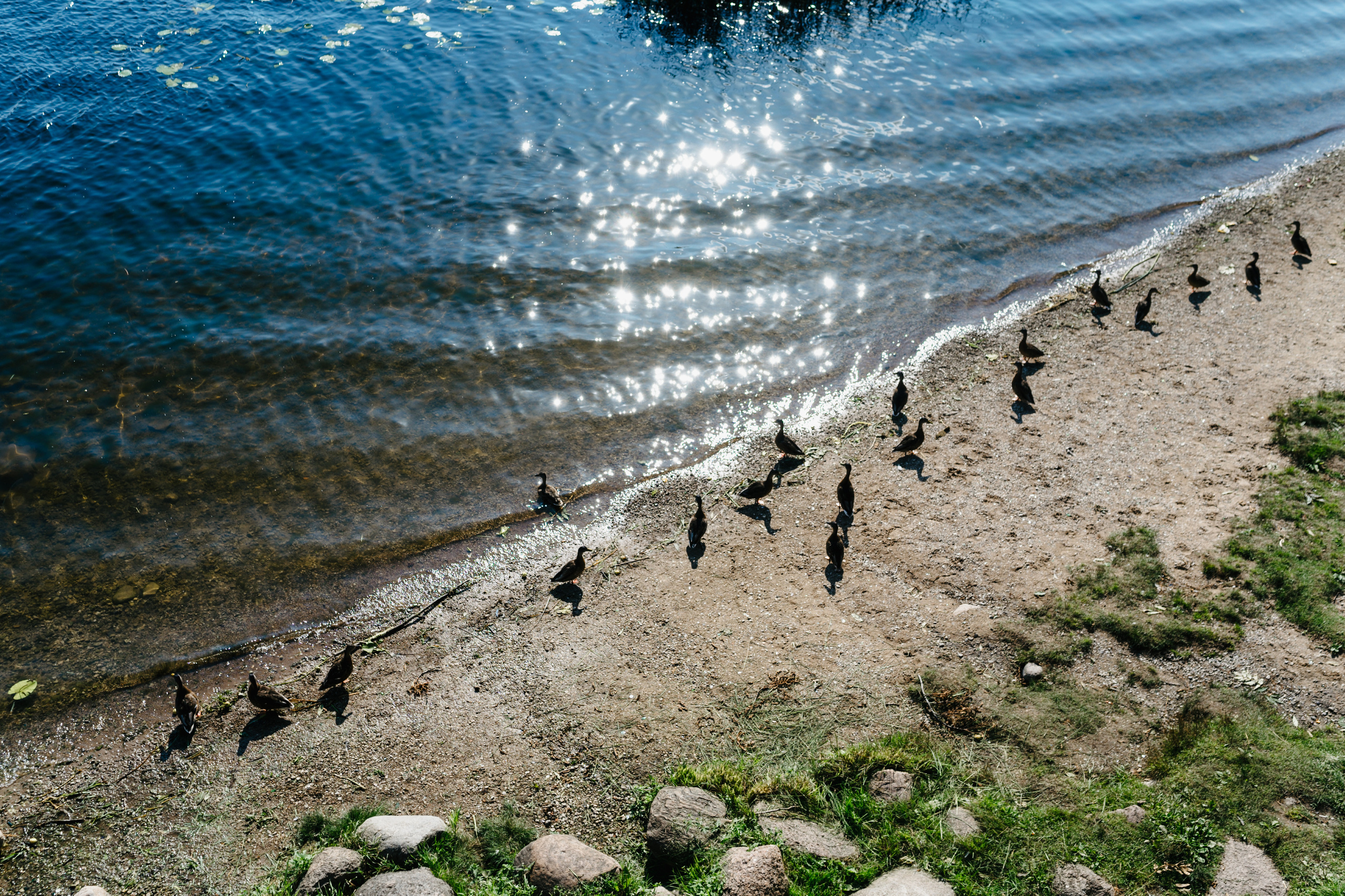Путешествие: Псков, Изборск, Печоры