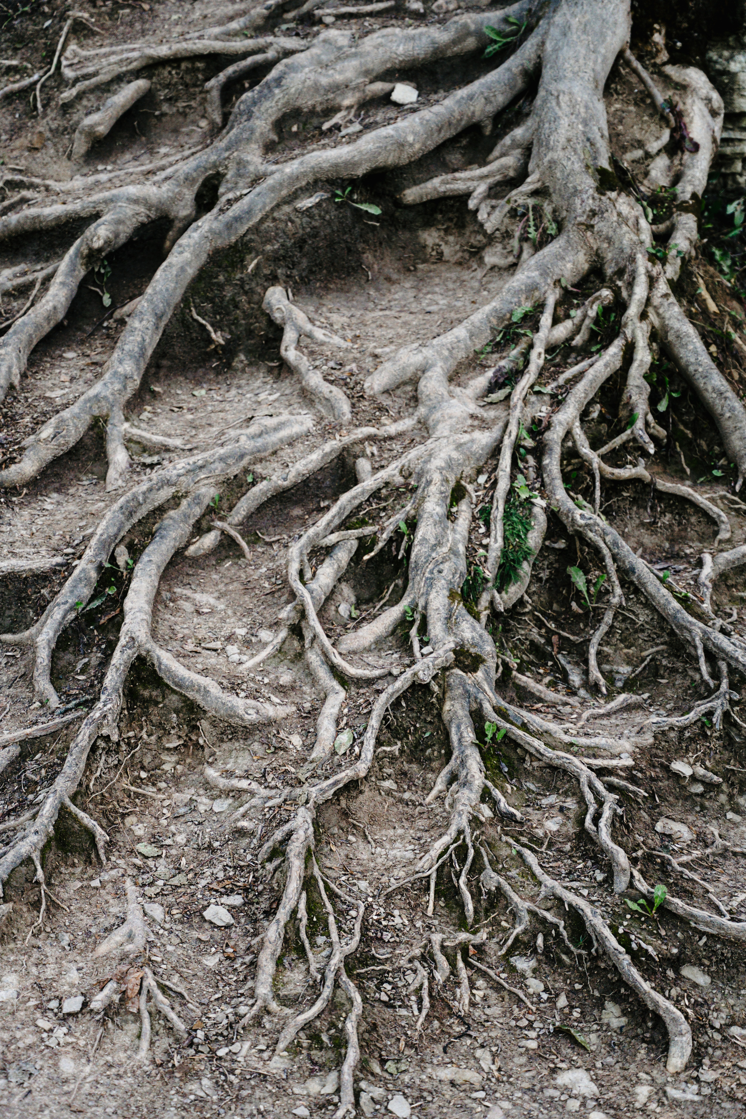 Путешествие: Псков, Изборск, Печоры