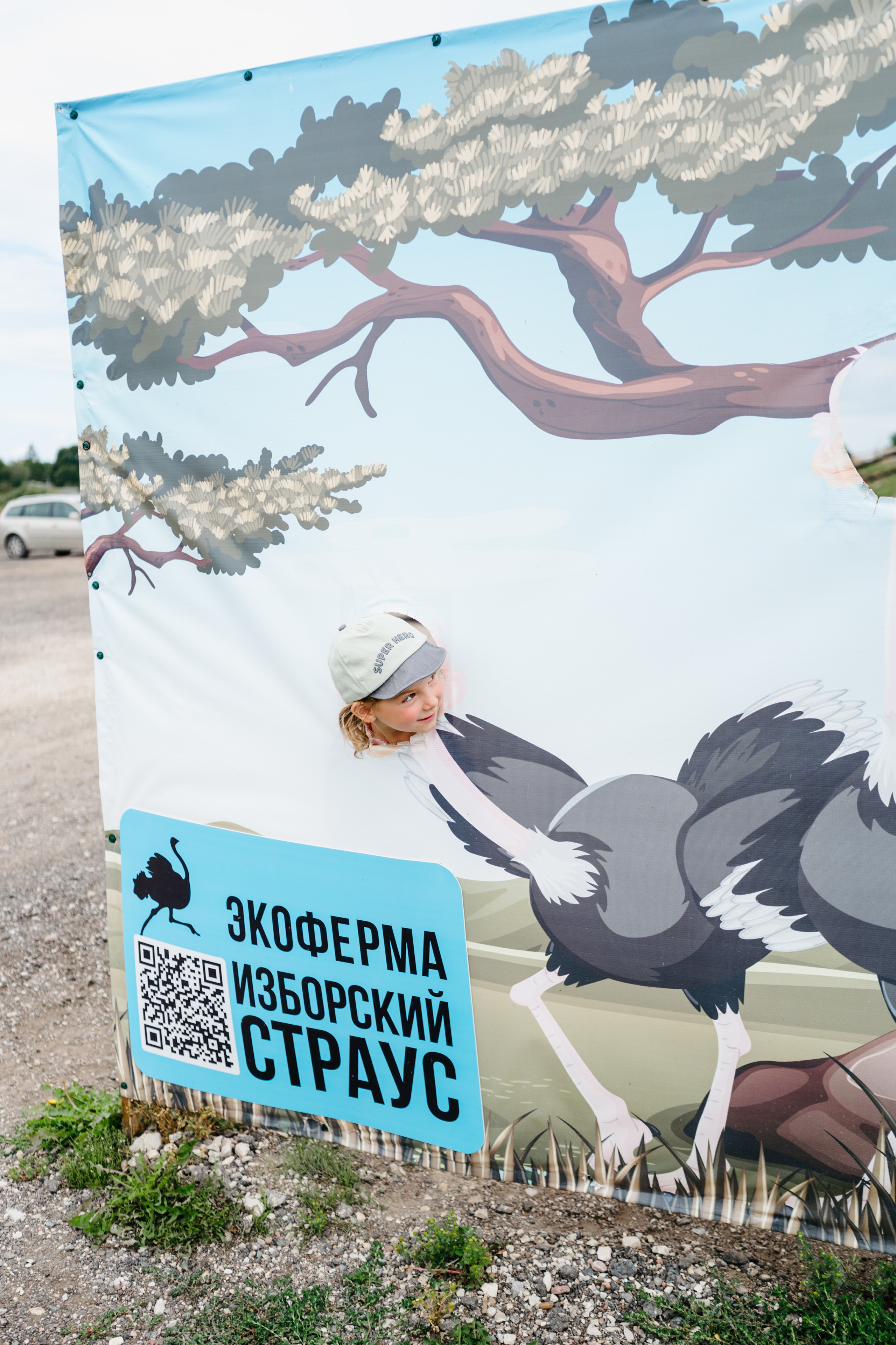 Путешествие: Псков, Изборск, Печоры