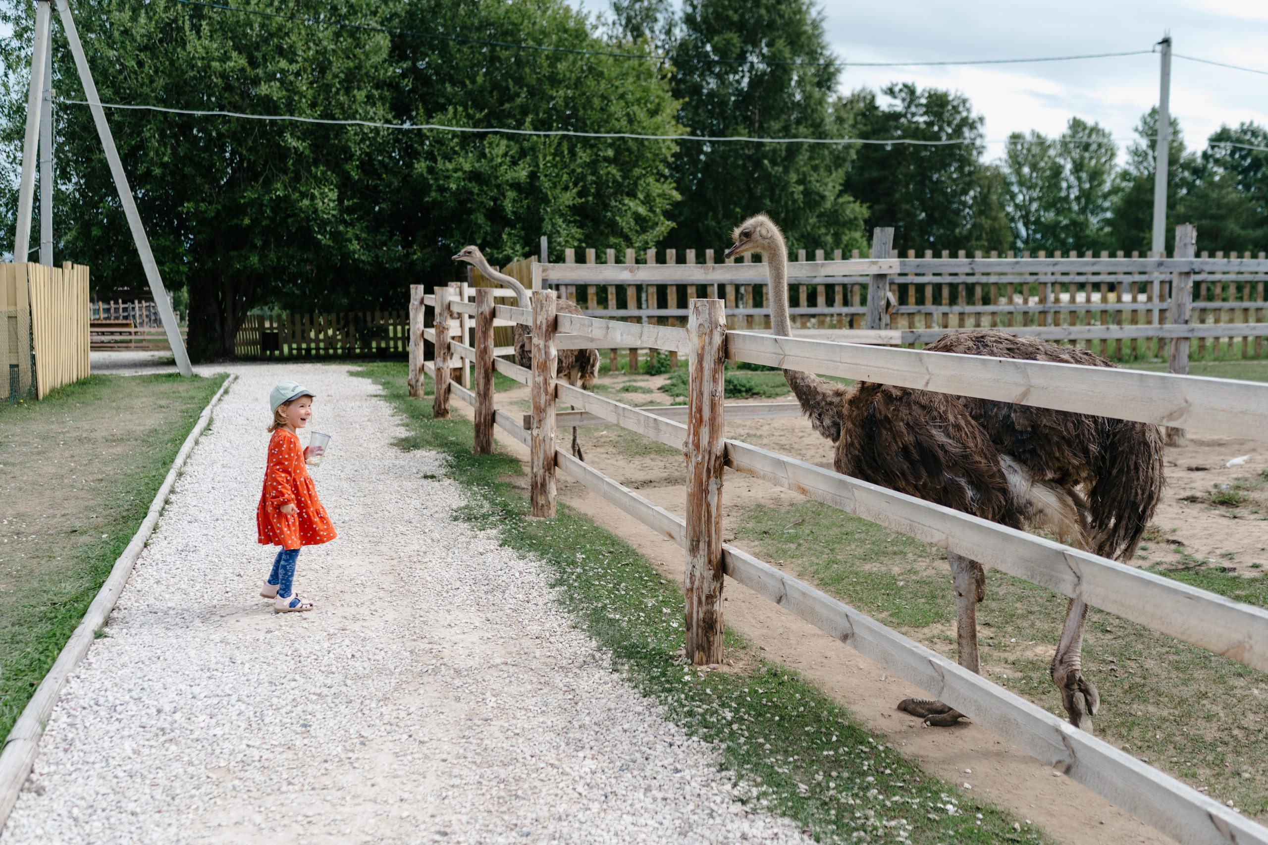 Путешествие: Псков, Изборск, Печоры