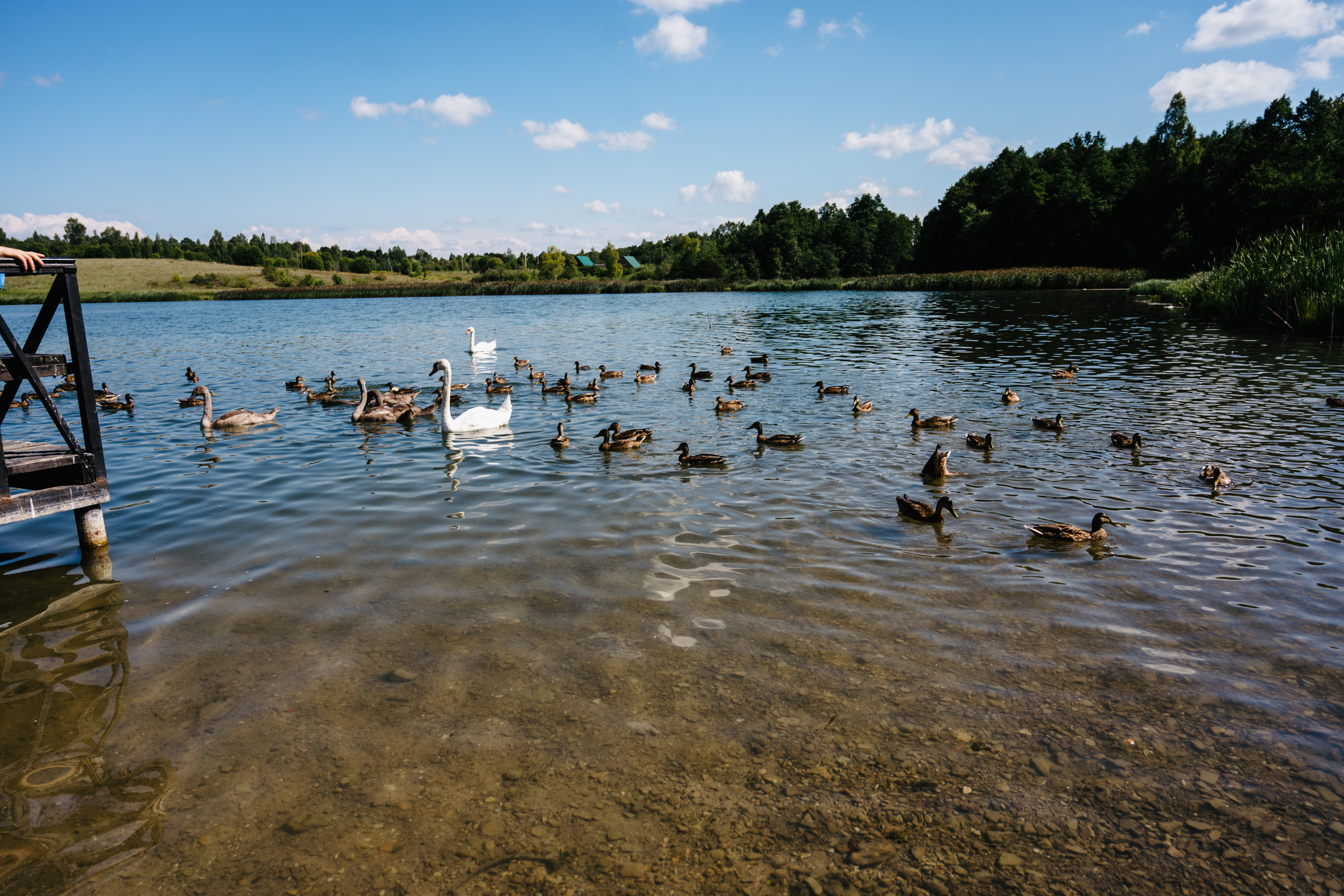 Путешествие: Псков, Изборск, Печоры