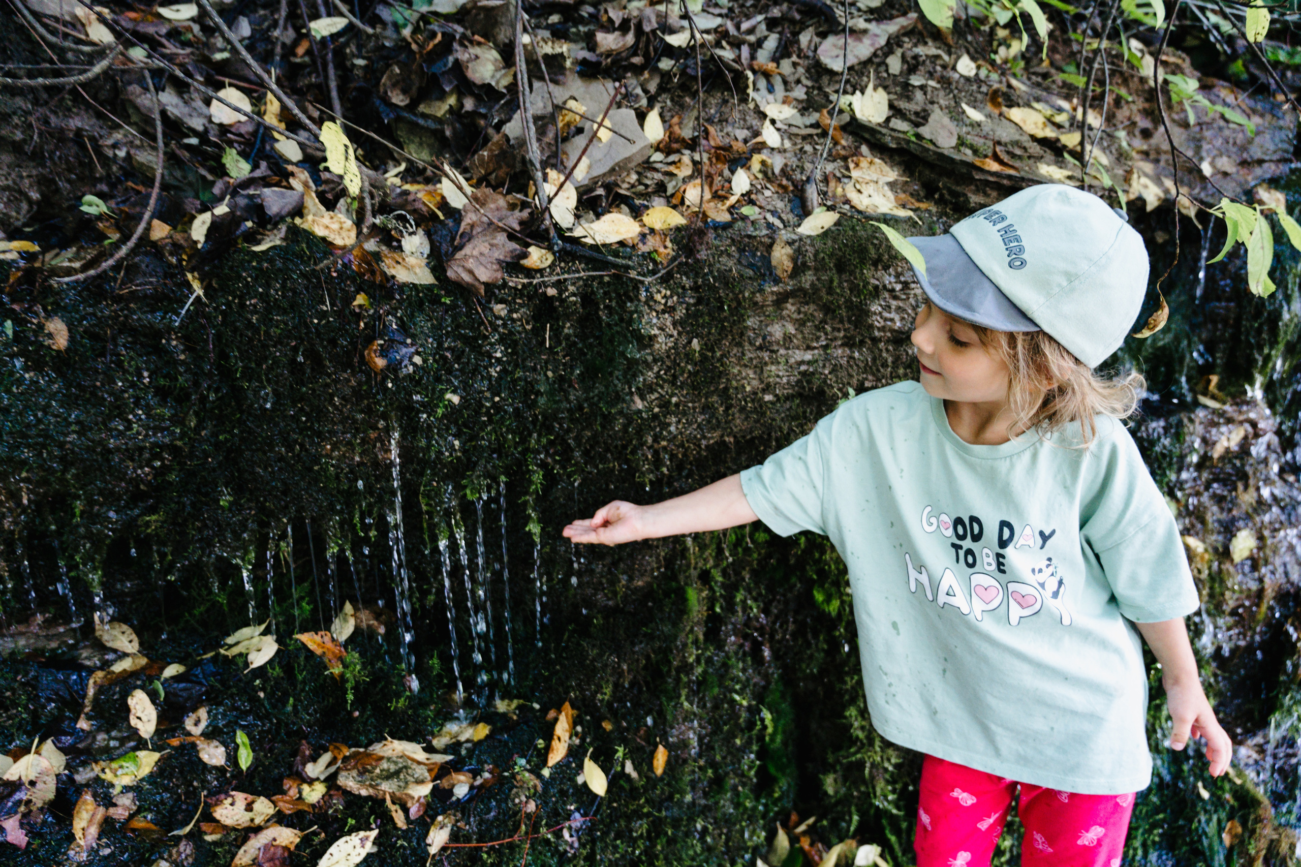 Путешествие: Псков, Изборск, Печоры