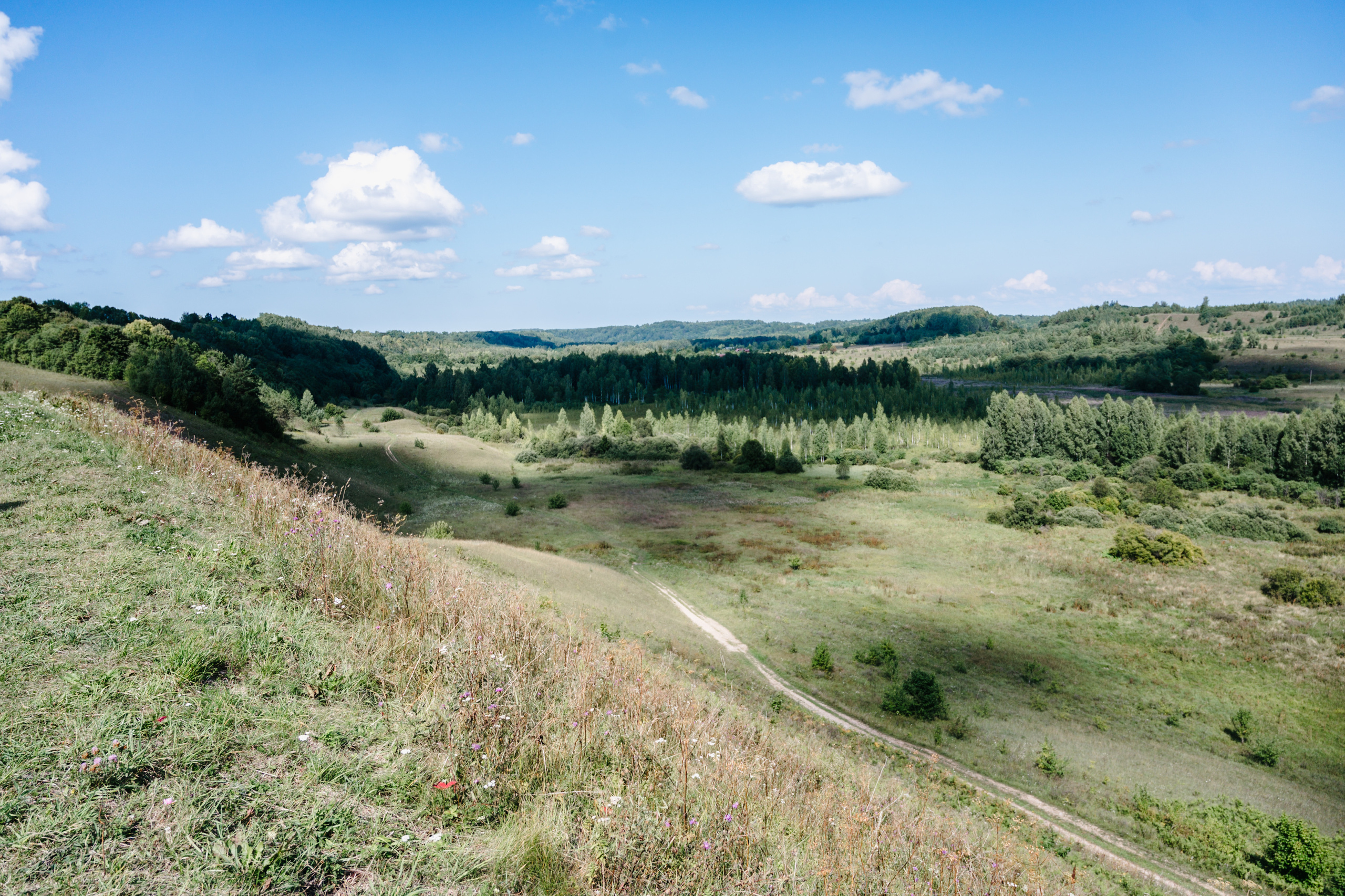 Путешествие: Псков, Изборск, Печоры