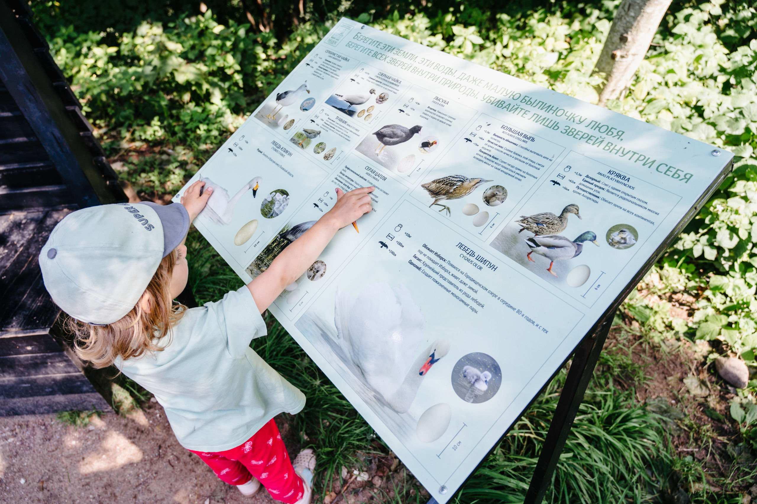 Путешествие: Псков, Изборск, Печоры