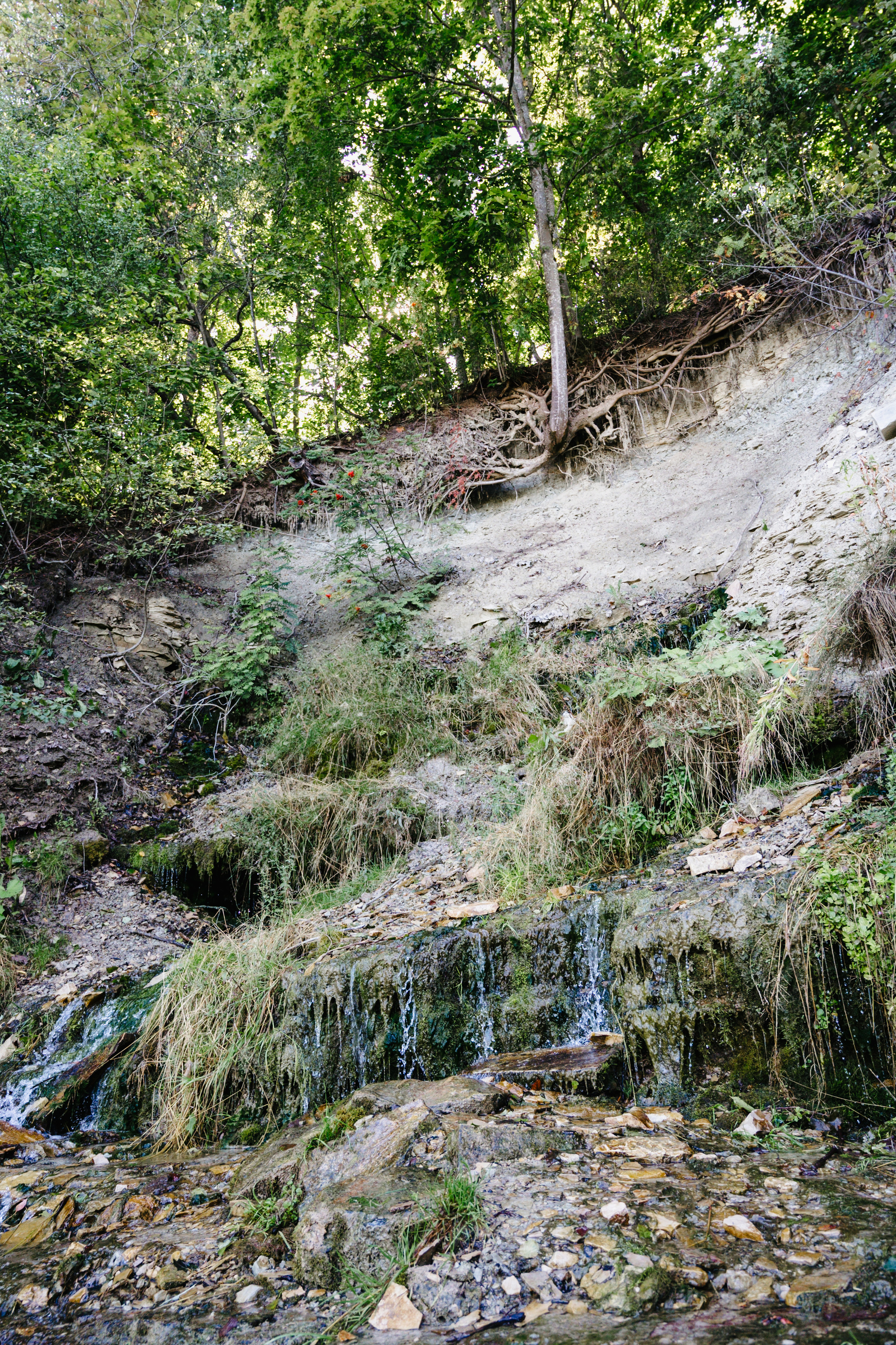 Путешествие: Псков, Изборск, Печоры