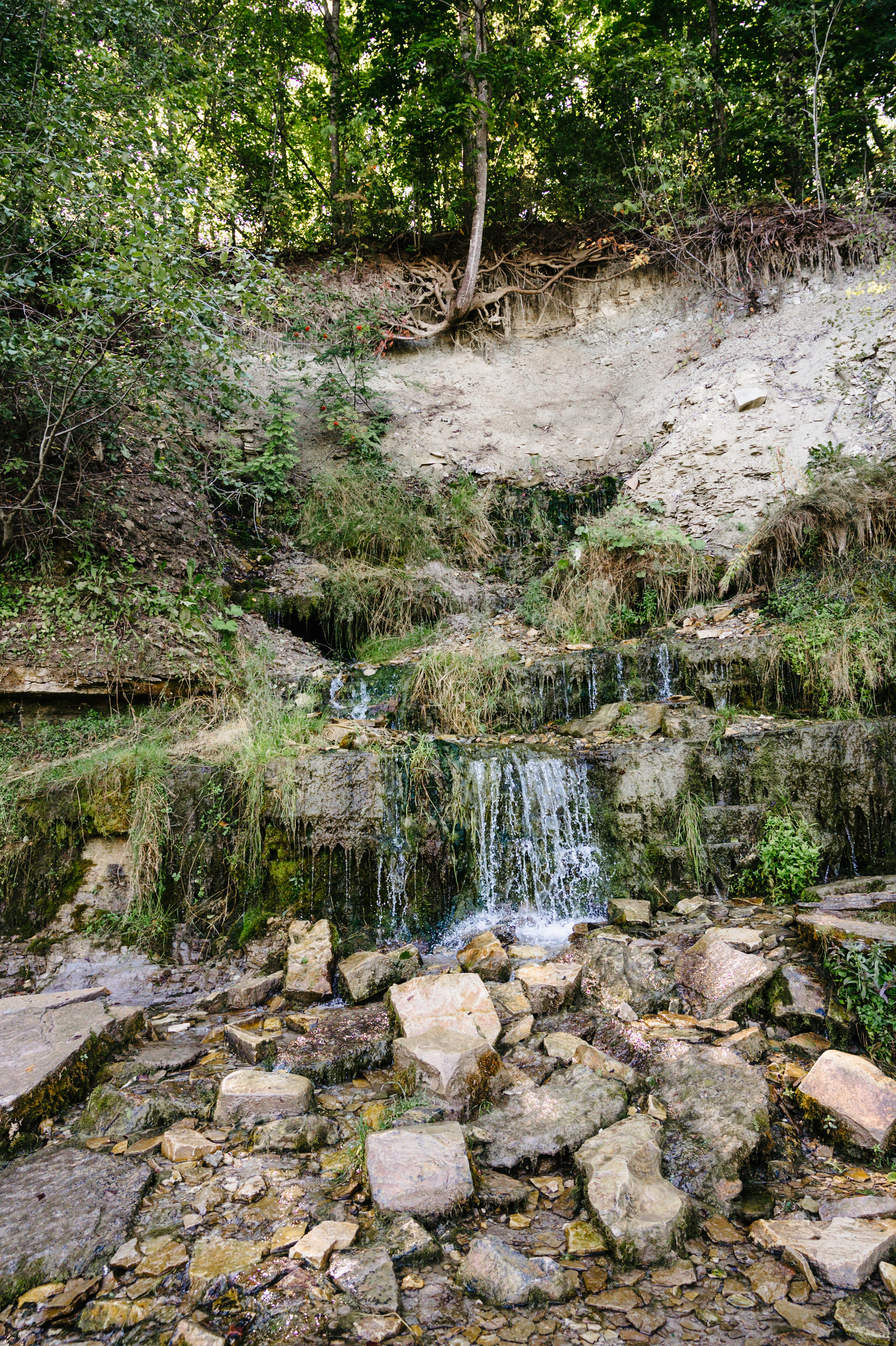 Путешествие: Псков, Изборск, Печоры