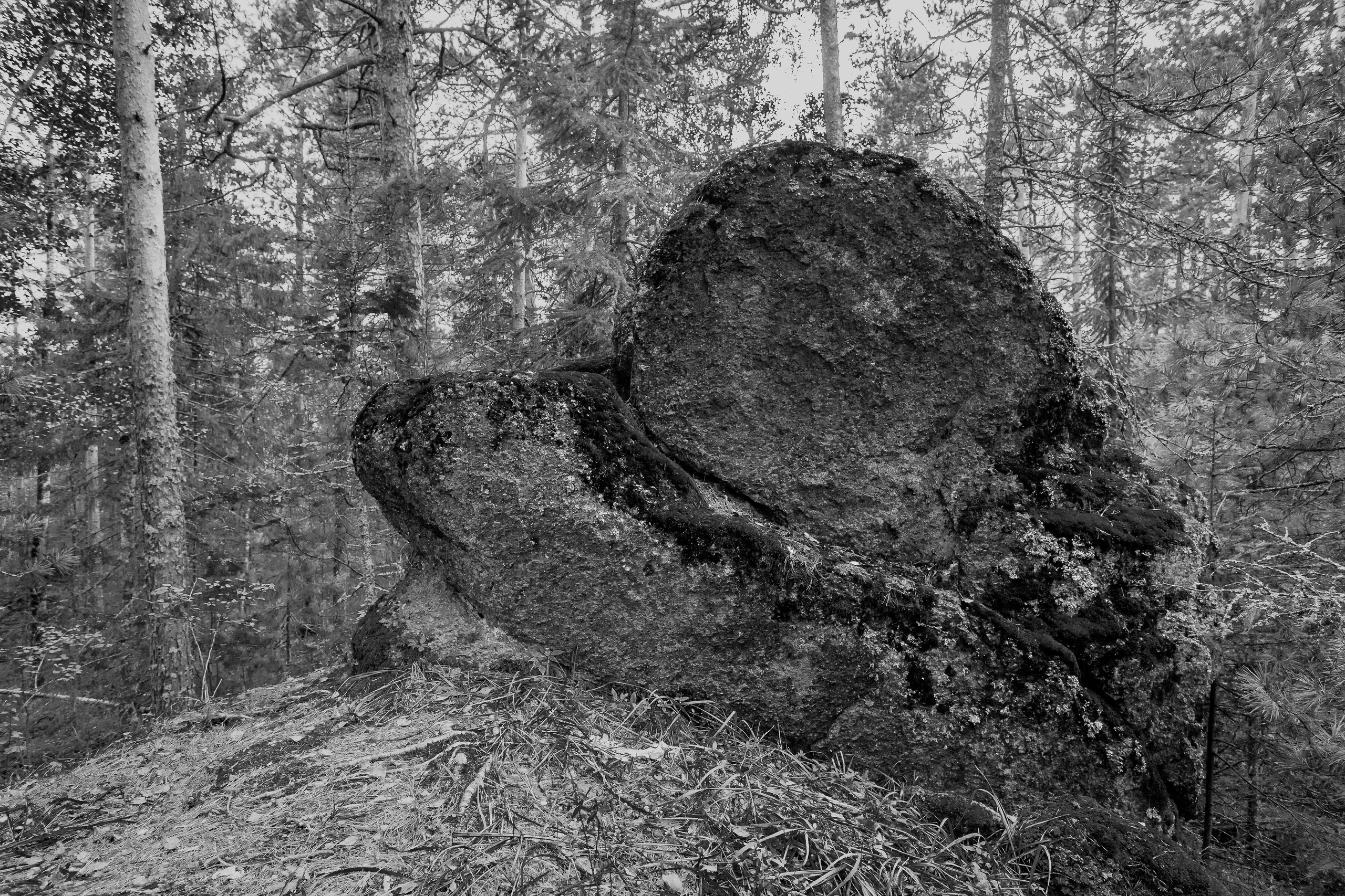 Серия «Горные обитатели». Фотограф в Москве Татьяна Макотра