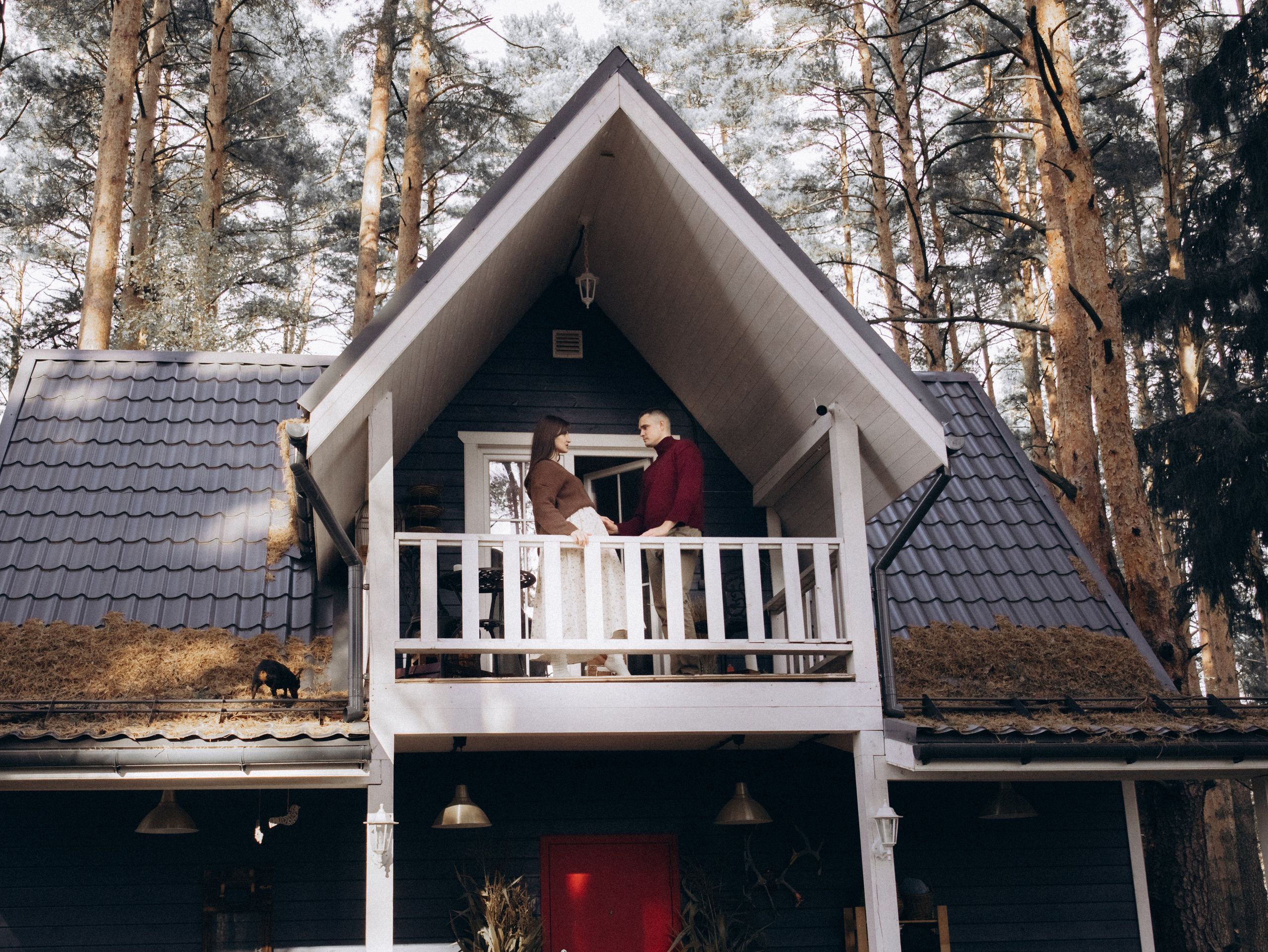 Теплая осень. Фотограф-анималист в Москве Кириллова Татьяна