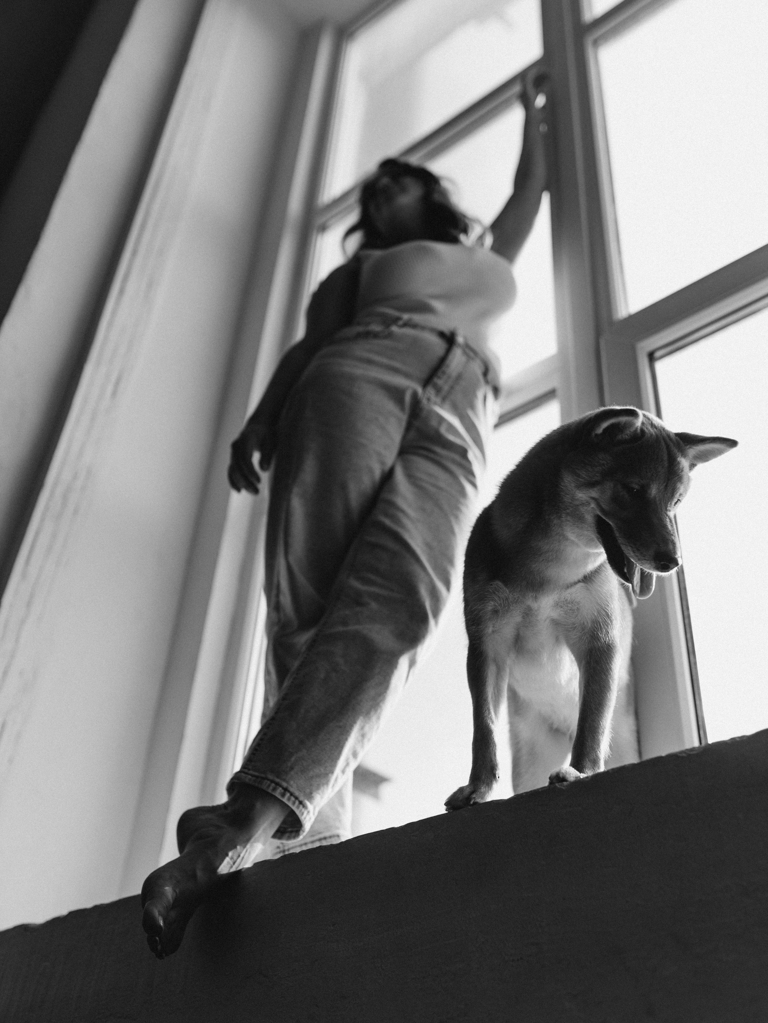 Мика и Настя. Фотограф-анималист в Москве Кириллова Татьяна