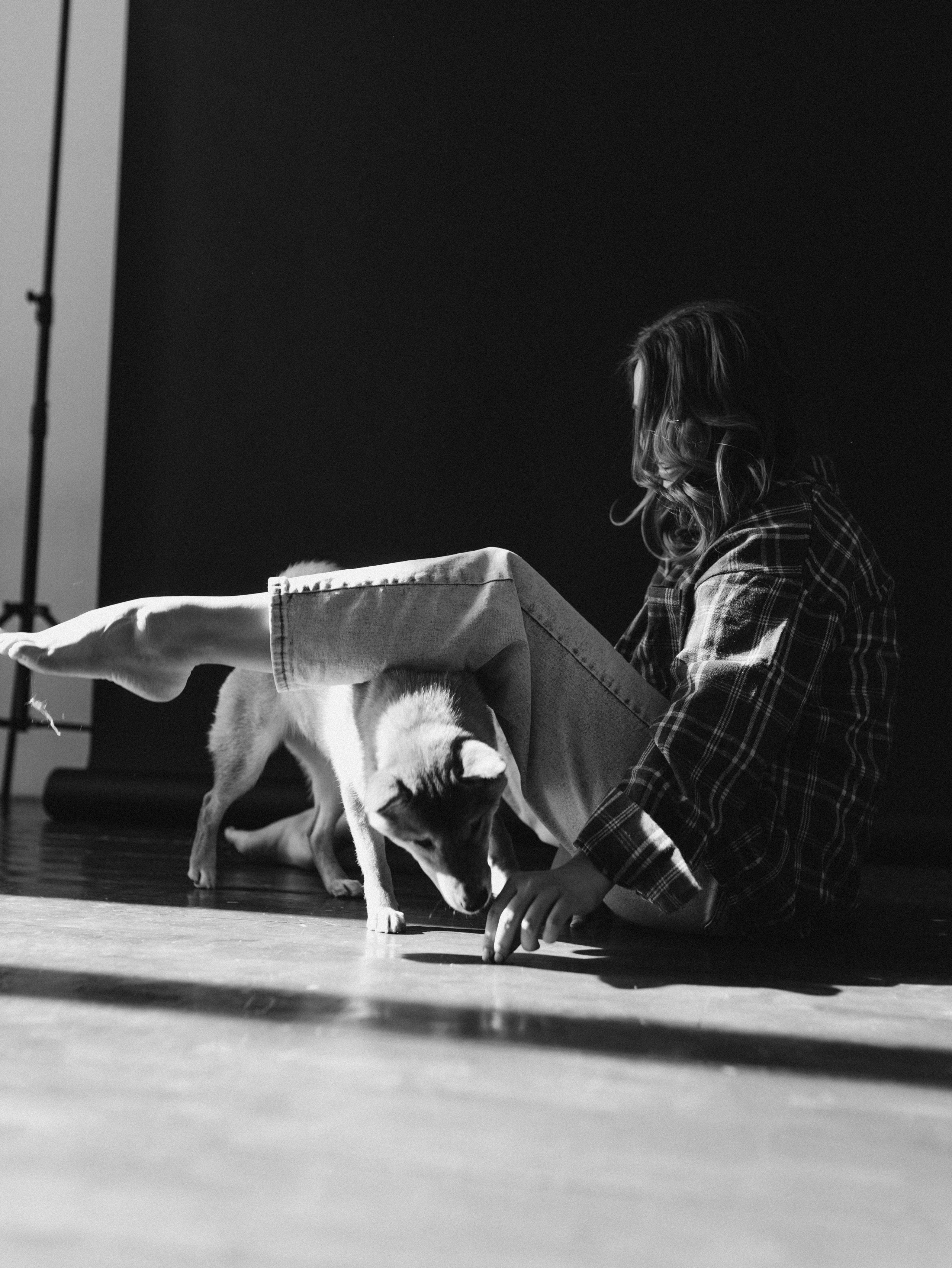 Мика и Настя. Фотограф-анималист в Москве Кириллова Татьяна