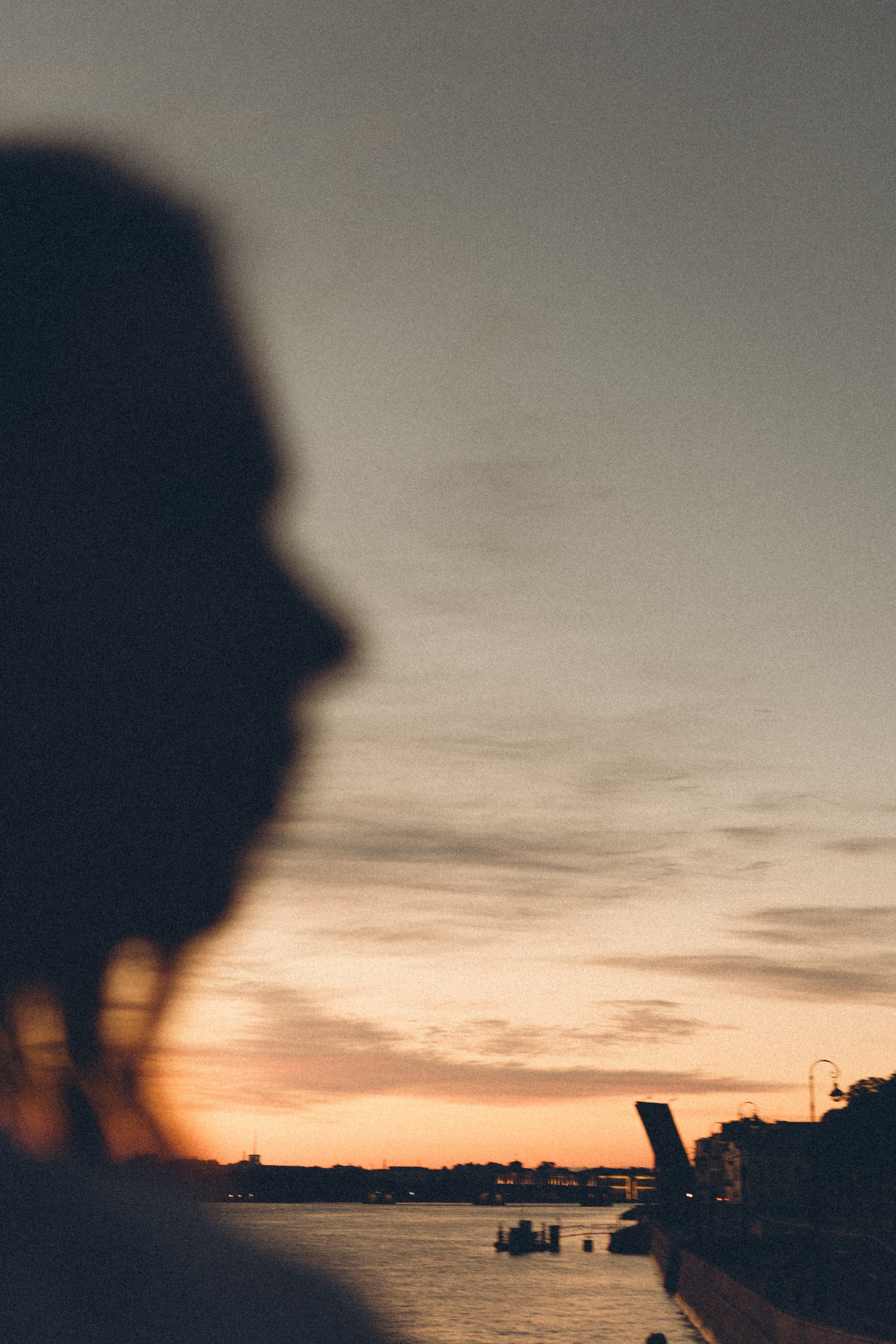 РАССВЕТ С РАЗВОДНЫМИ МОСТАМИ. Профессиональный фотограф, Санкт-Петербург — Виктория Богомолова