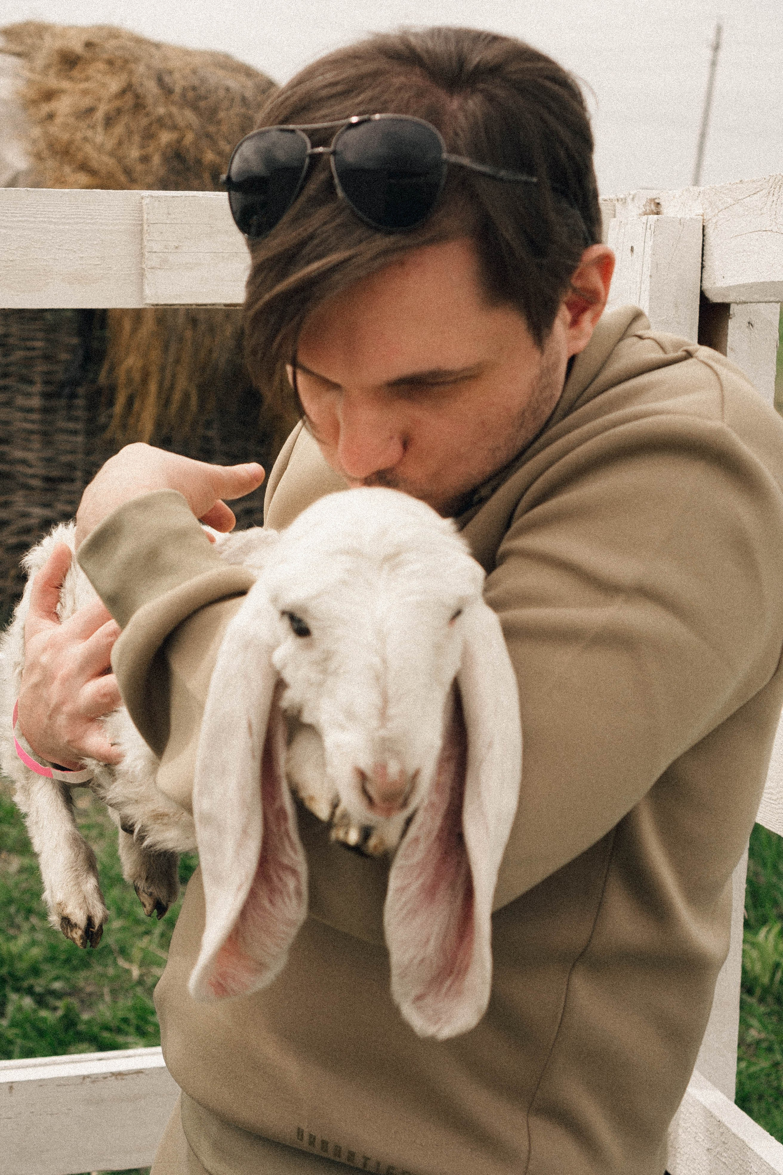 Ферма Альпак. Профессиональный фотограф, Санкт-Петербург — Виктория Богомолова