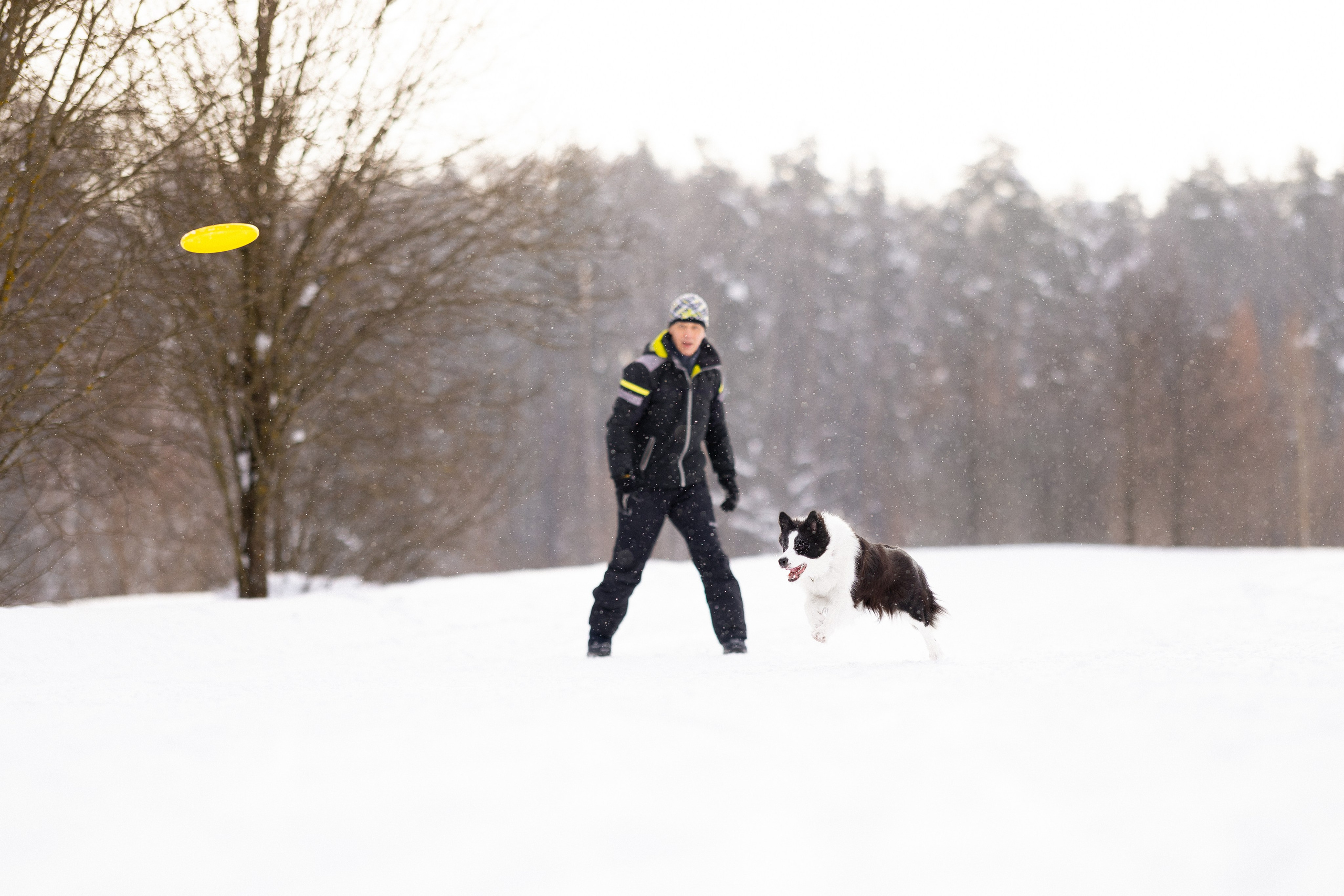 Лилия, Алексей и Ариана. Фотограф и видеограф анималист Аганина Дарья